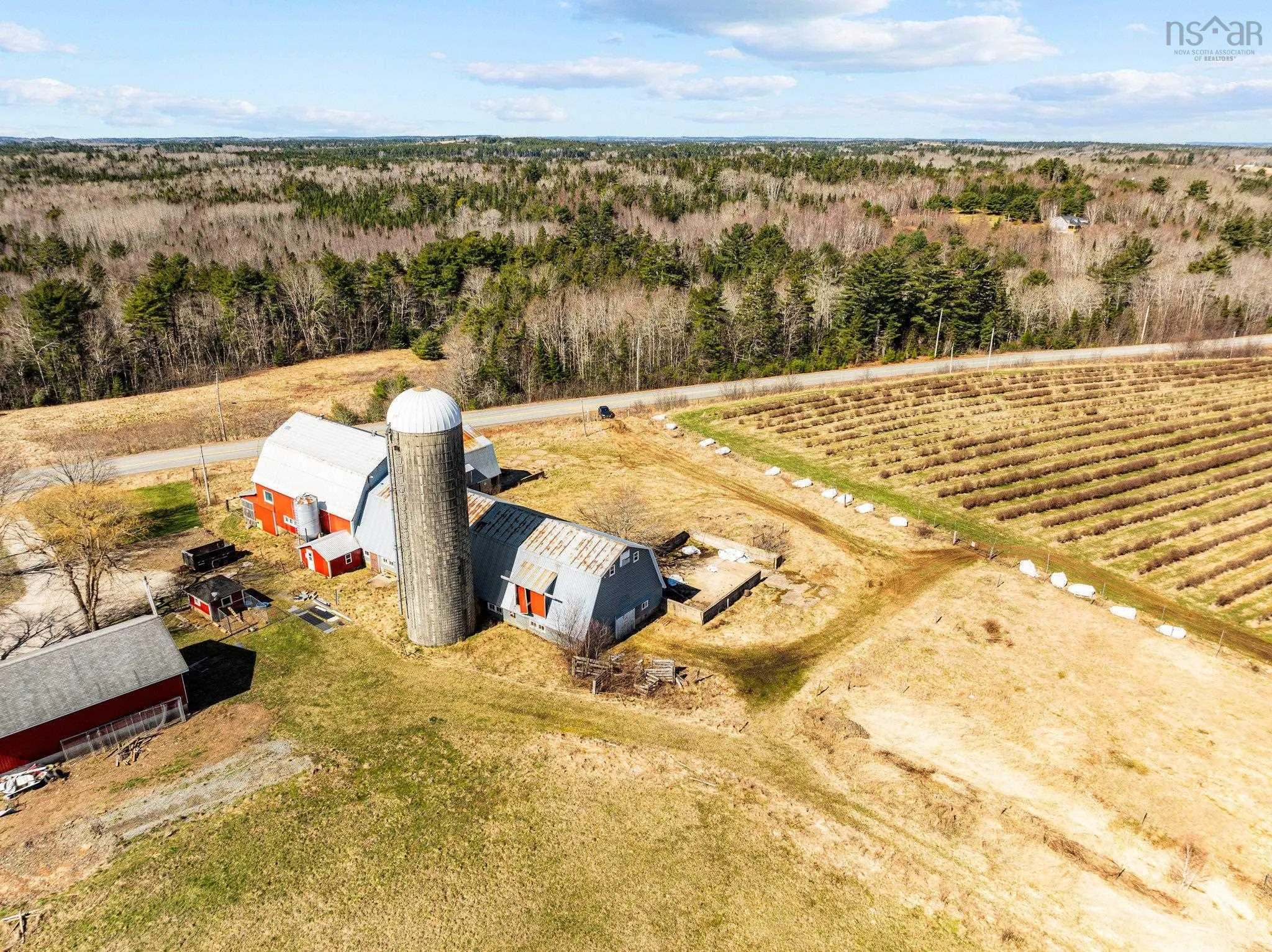 Lower Branch Road, Branch Lahave, NS B4V 4V5, ,Farm,For Sale,Lower Branch,202520291