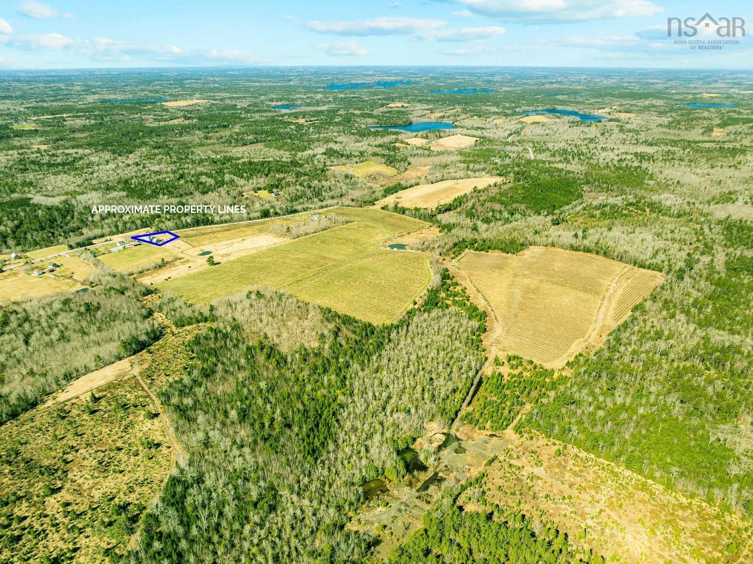 Lower Branch Road, Branch Lahave, NS B4V 4V5, ,Farm,For Sale,Lower Branch,202520291