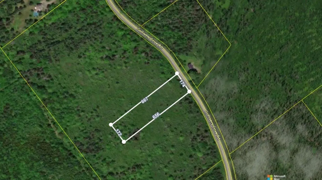 Lot Gullivers Cove Road, Gullivers Cove, NS B0V 1A0, ,Land,For Sale,Gullivers Cove,202523376