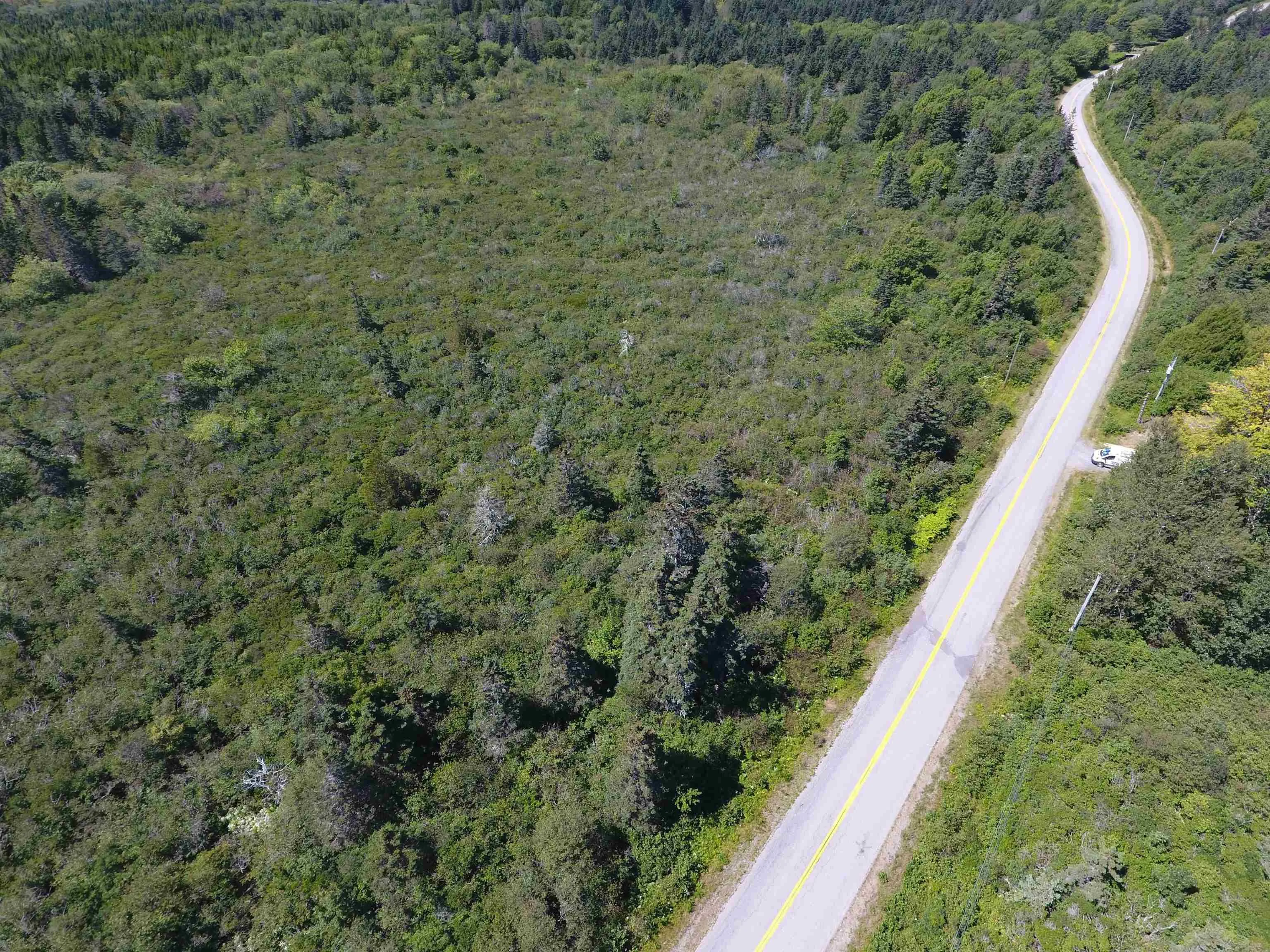 Lot Gullivers Cove Road, Gullivers Cove, NS B0V 1A0, ,Land,For Sale,Gullivers Cove,202523376