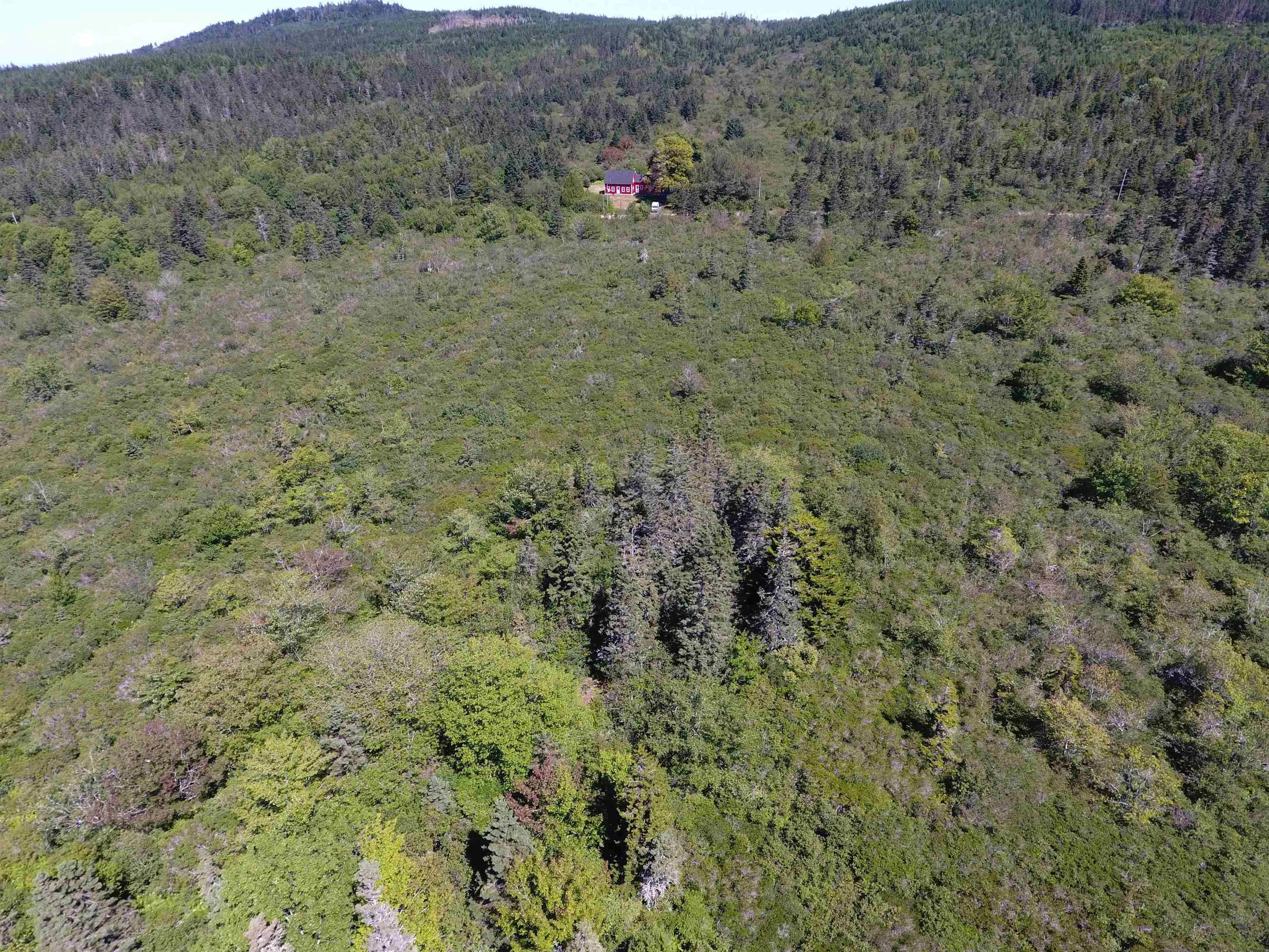 Lot Gullivers Cove Road, Gullivers Cove, NS B0V 1A0, ,Land,For Sale,Gullivers Cove,202523376
