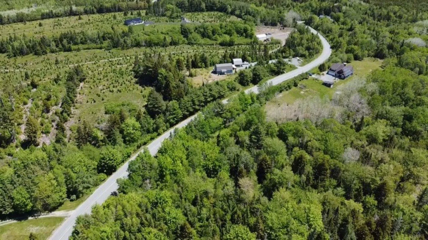Lot Mount Pleasant Road, Pleasantville, NS B0R 1G0, ,Land,For Sale,Mount Pleasant Road,202513226