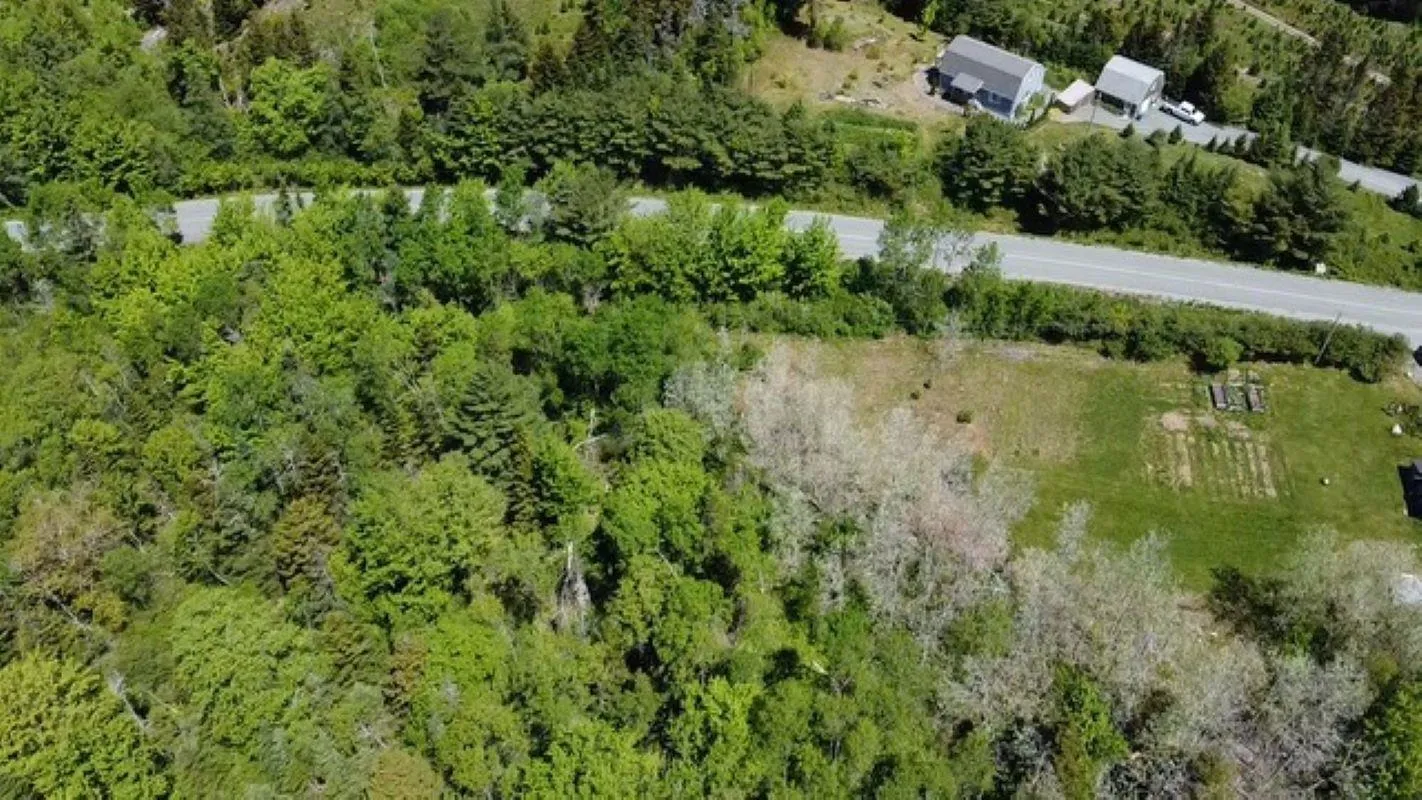 Lot Mount Pleasant Road, Pleasantville, NS B0R 1G0, ,Land,For Sale,Mount Pleasant Road,202513226