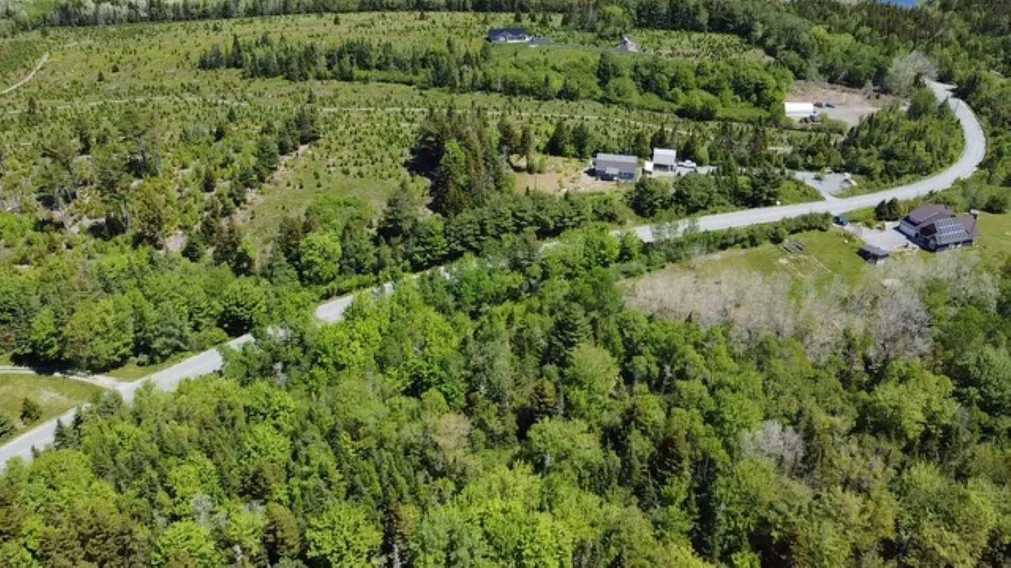 Lot Mount Pleasant Road, Pleasantville, NS B0R 1G0, ,Land,For Sale,Mount Pleasant Road,202513226