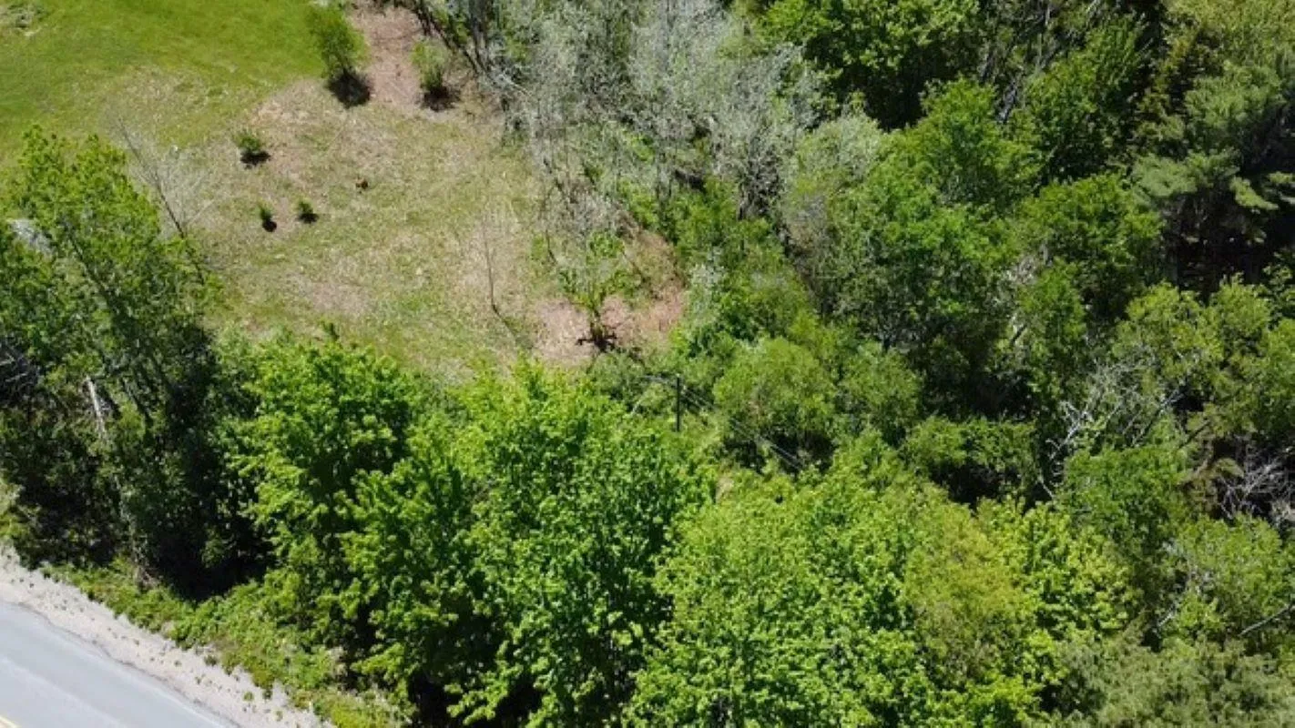 Lot Mount Pleasant Road, Pleasantville, NS B0R 1G0, ,Land,For Sale,Mount Pleasant Road,202513226