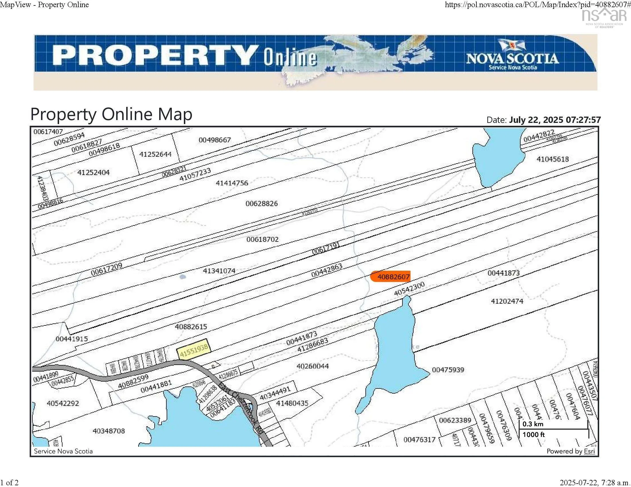 1161 East Chezzetcook Road, Chezzetcook, NS B0J 2L0, ,Land,For Sale,East Chezzetcook,202511381