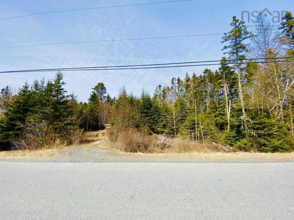 1161 East Chezzetcook Road, Chezzetcook, NS B0J 2L0, ,Land,For Sale,East Chezzetcook,202511381