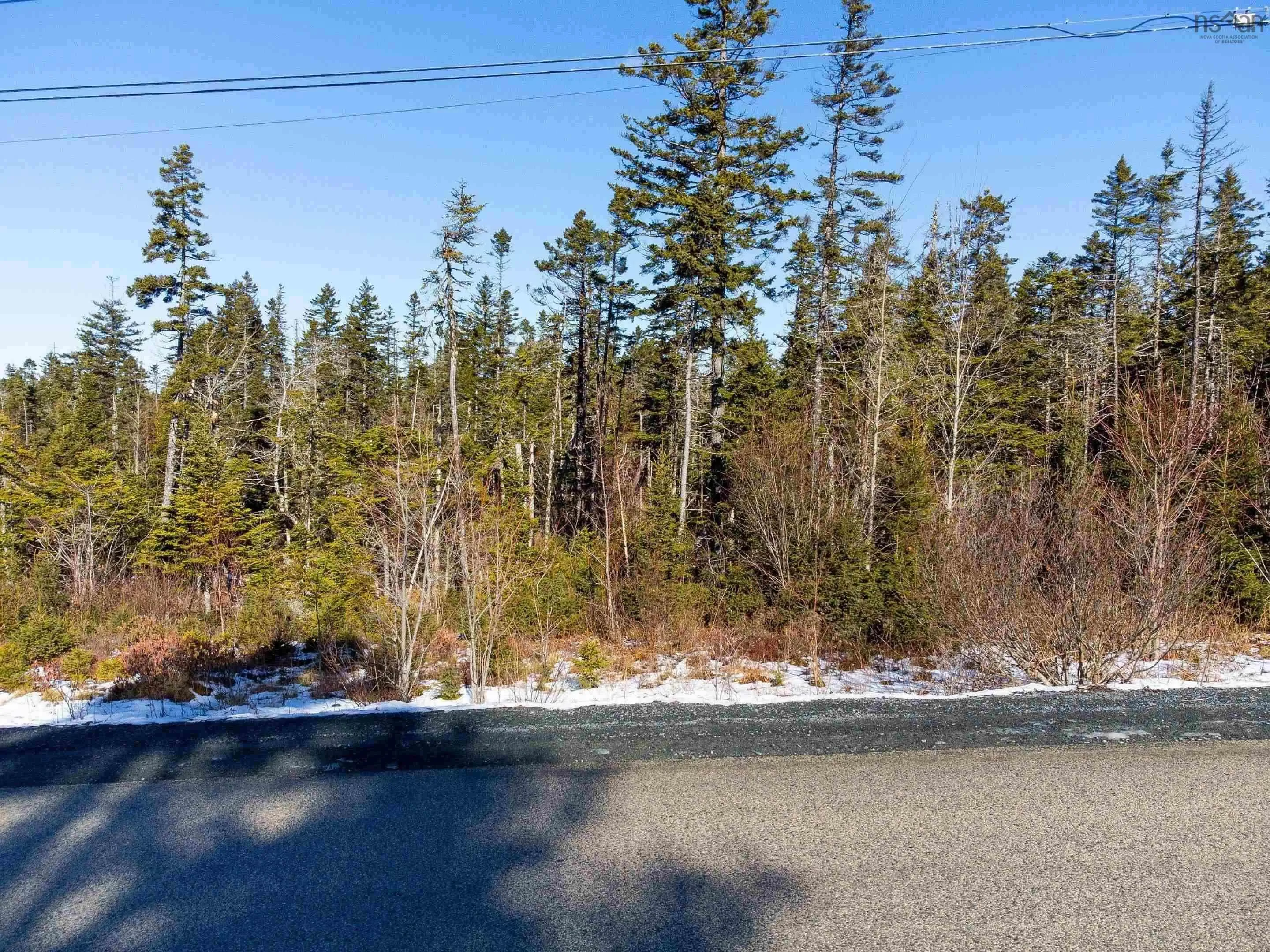 72 Bushmill Court, Westwood Hills, NS B3Z 0H1, ,Land,For Sale,Bushmill,202519433