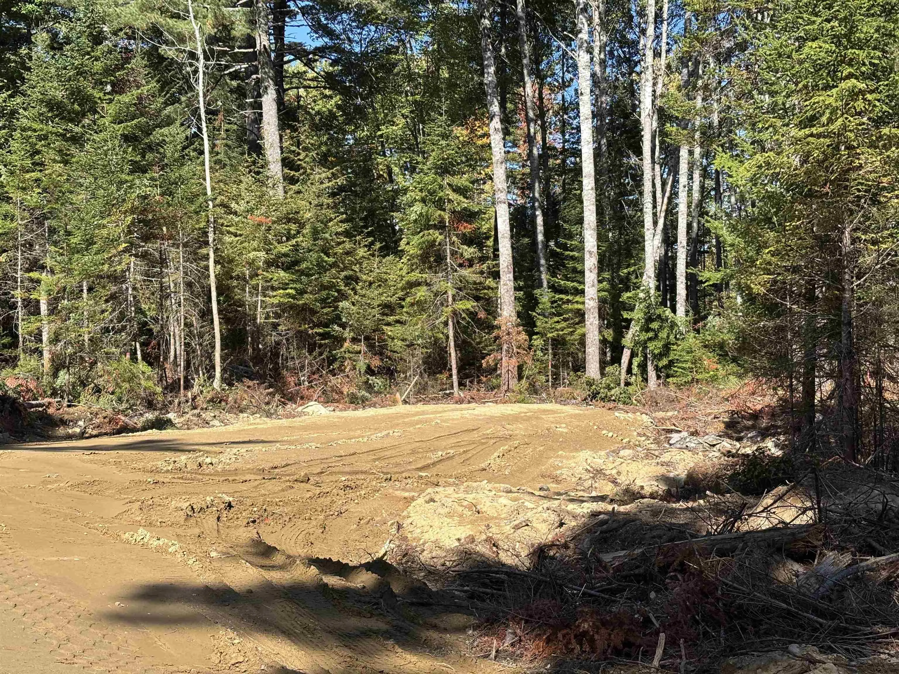 Highway 325 Lot 23, West Clifford, NS B4V 8H3, ,Land,For Sale,Highway 325,202524863