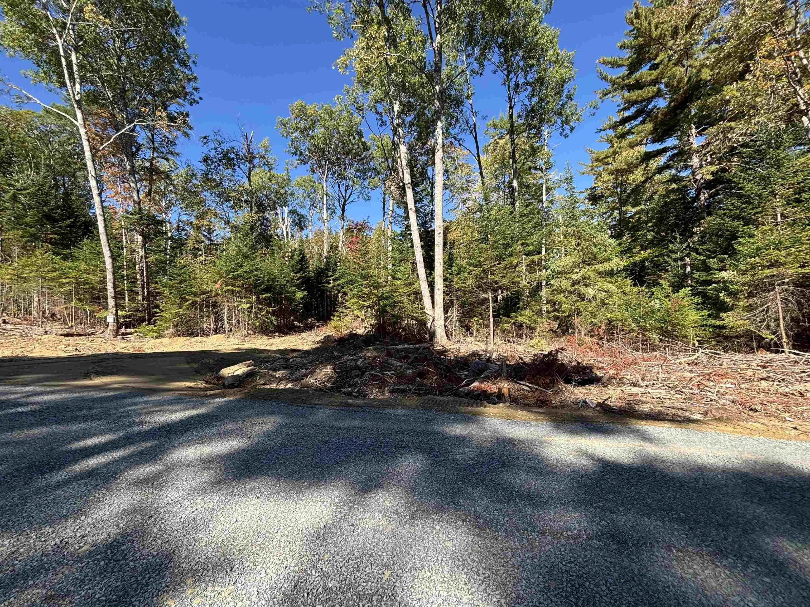Highway 325 Lot 23, West Clifford, NS B4V 8H3, ,Land,For Sale,Highway 325,202524863