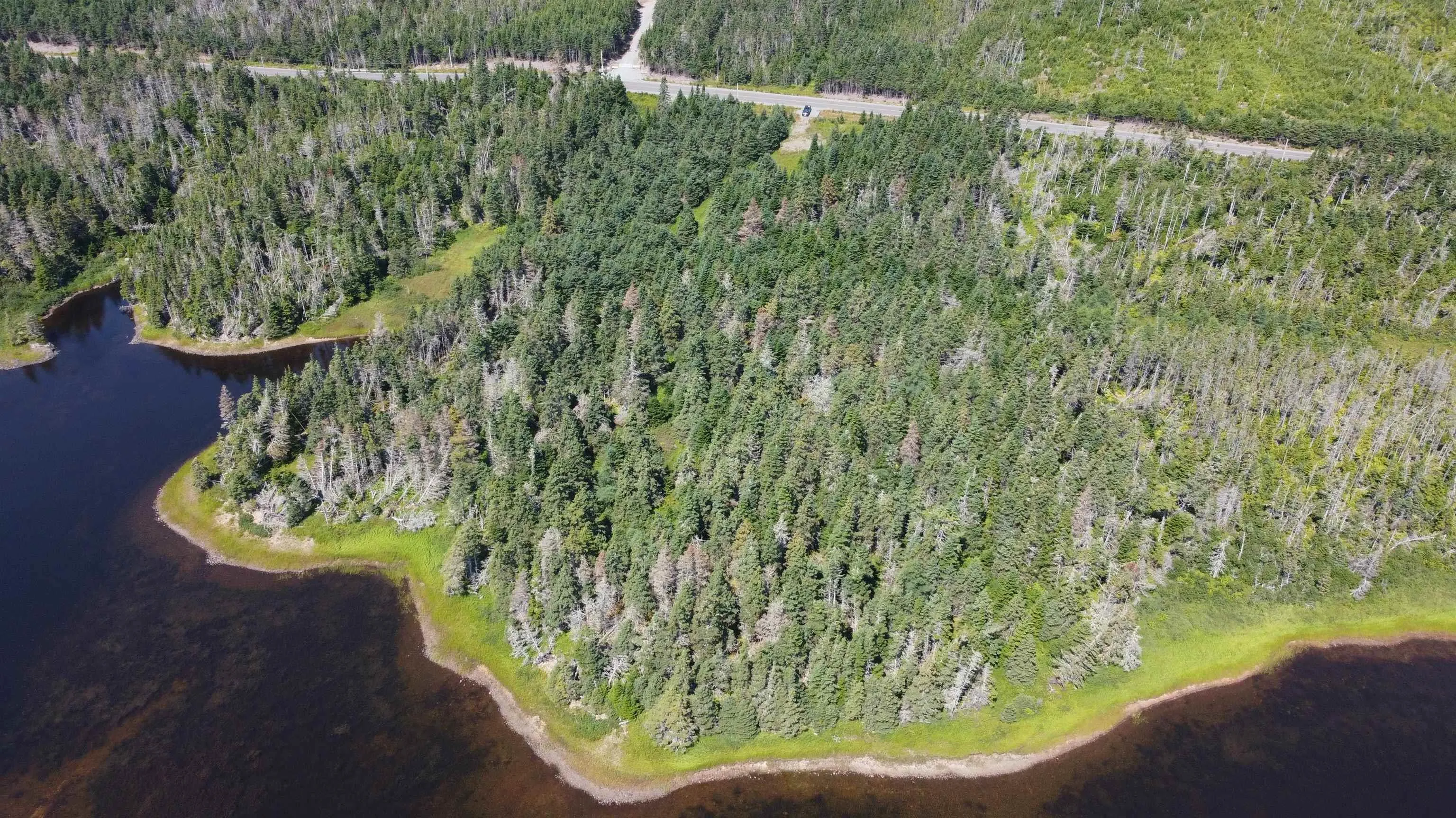 Fourchu Road, St. Esprit, NS B0E 1M0, ,Land,For Sale,Fourchu Road,202521102