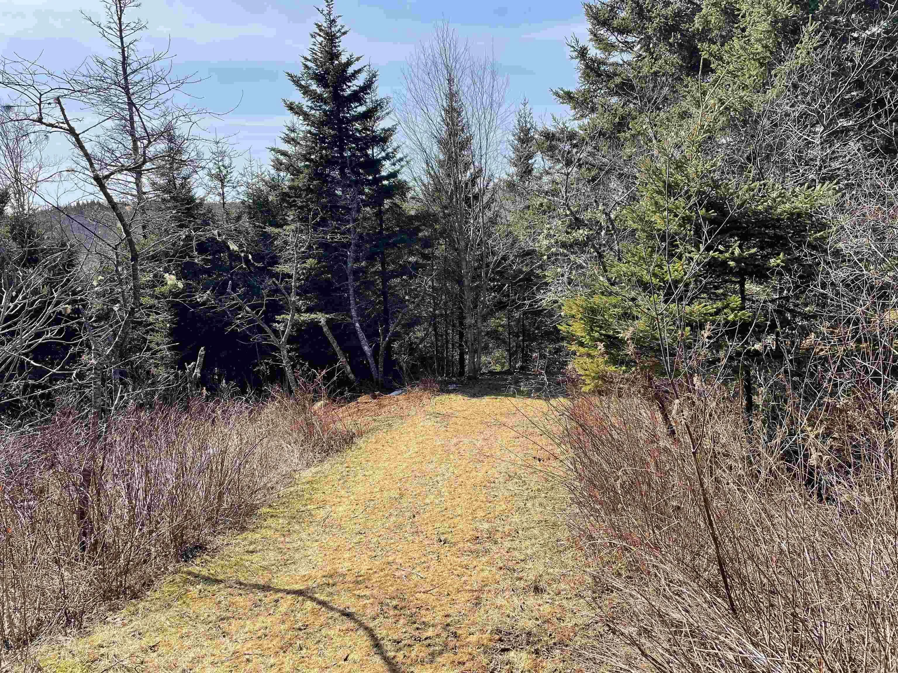 1095 New Harbour Lundy Road, Larry's River Ns B0h 1t0, 3 Bedrooms Bedrooms, ,1 BathroomBathrooms,Residential,For Sale,New Harbour Lundy,202504964
