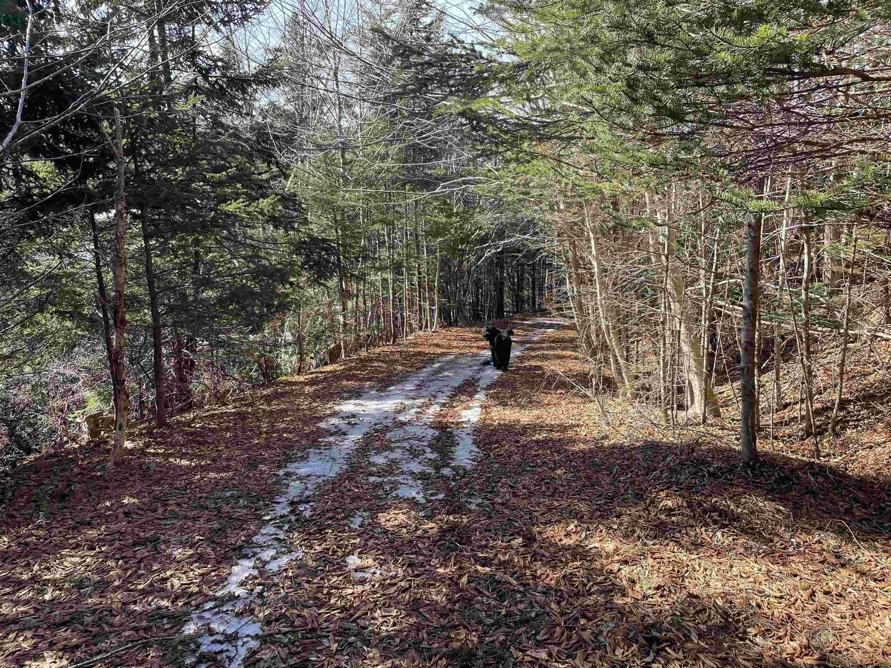 1095 New Harbour Lundy Road, Larry's River Ns B0h 1t0, 3 Bedrooms Bedrooms, ,1 BathroomBathrooms,Residential,For Sale,New Harbour Lundy,202504964