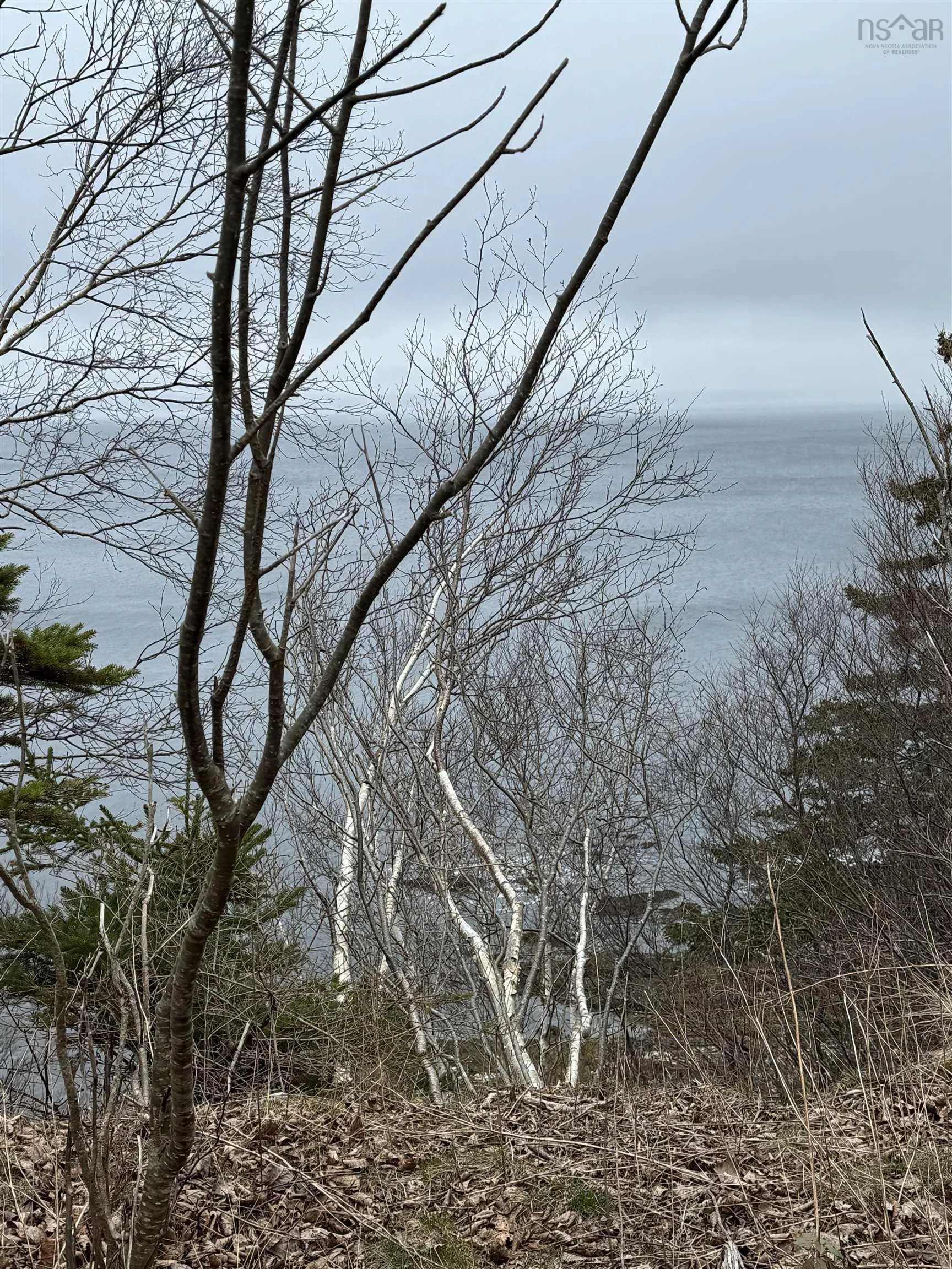 0 Highway 16, Peas Brook Ns B0h 1n0, ,Land,For Sale,Highway 16,202408550