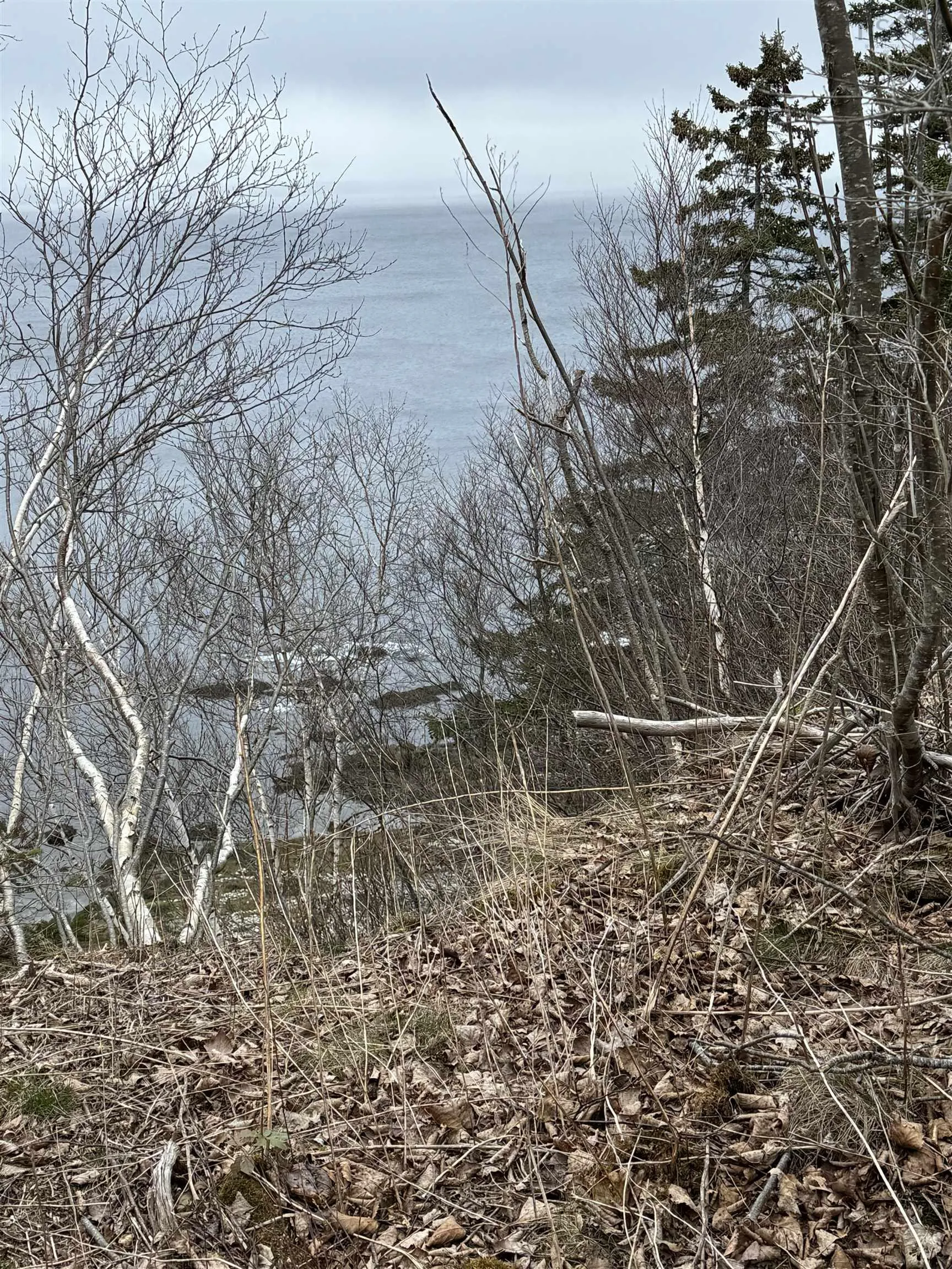 0 Highway 16, Peas Brook Ns B0h 1n0, ,Land,For Sale,Highway 16,202408550