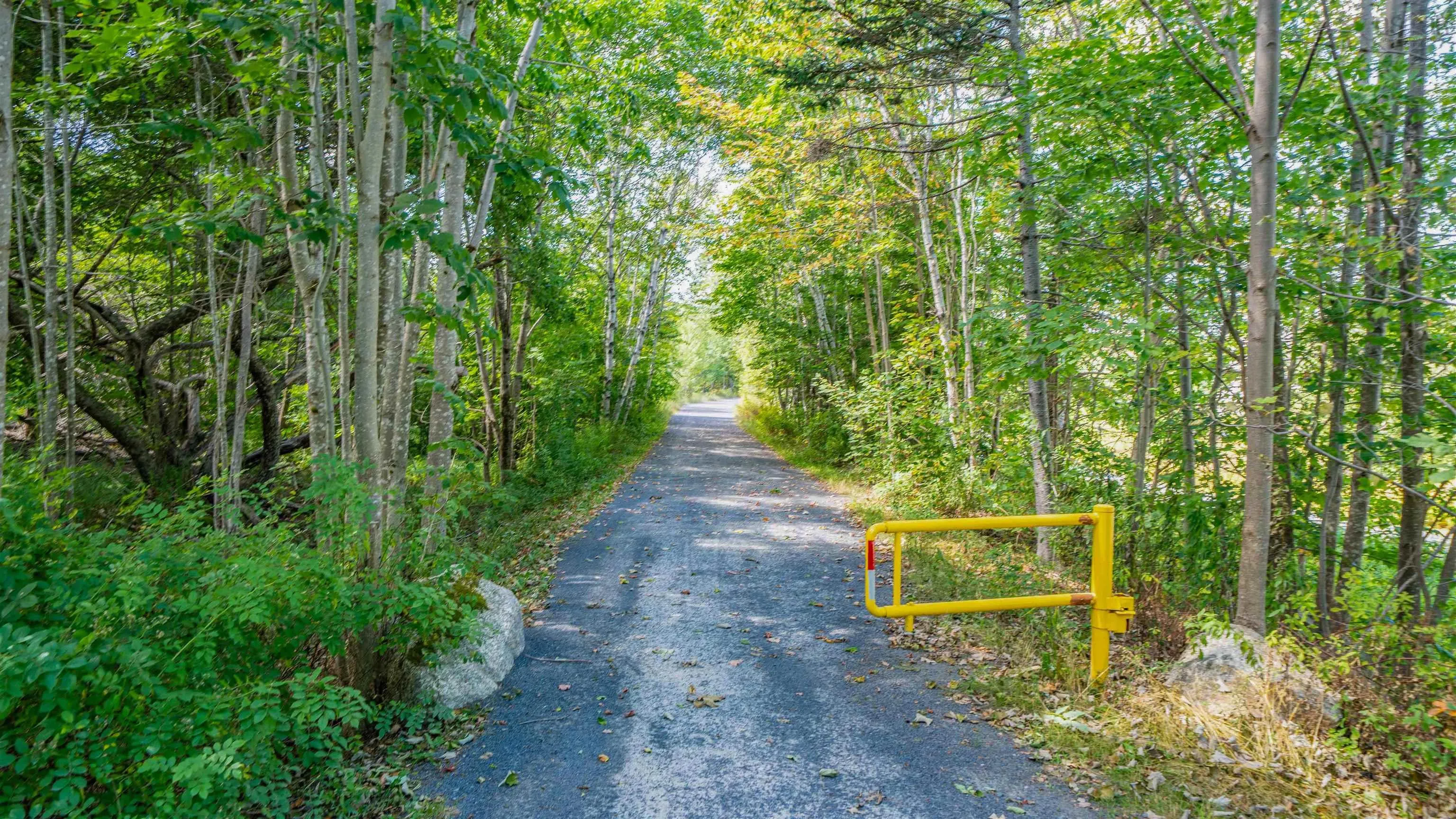 58 Ash Grove Lane, Timberlea, NS B3T 2J9, 3 Bedrooms Bedrooms, ,1 BathroomBathrooms,Residential,For Sale,Ash Grove,202521298