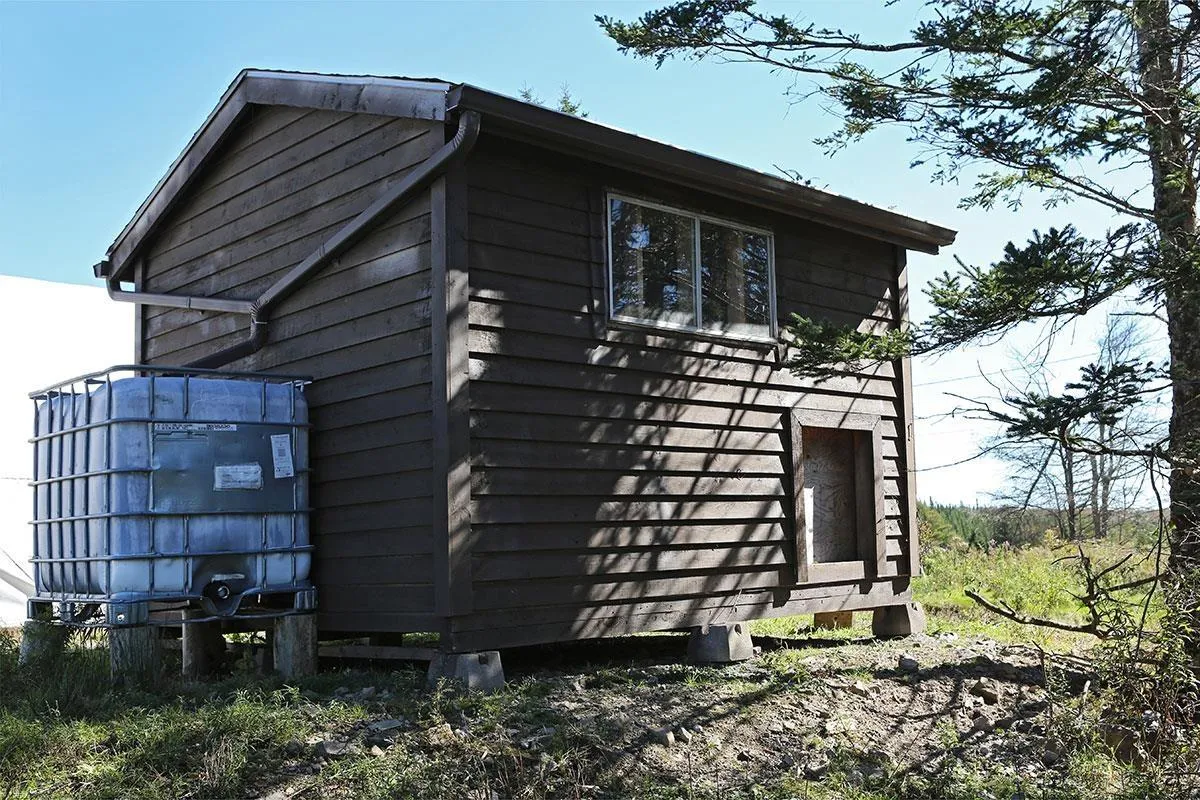 923 Soldiers Cove Road, Lewis Cove Road Ns B0e 3b0, 3 Bedrooms Bedrooms, ,3 BathroomsBathrooms,Residential,For Sale,Soldiers Cove,202506470