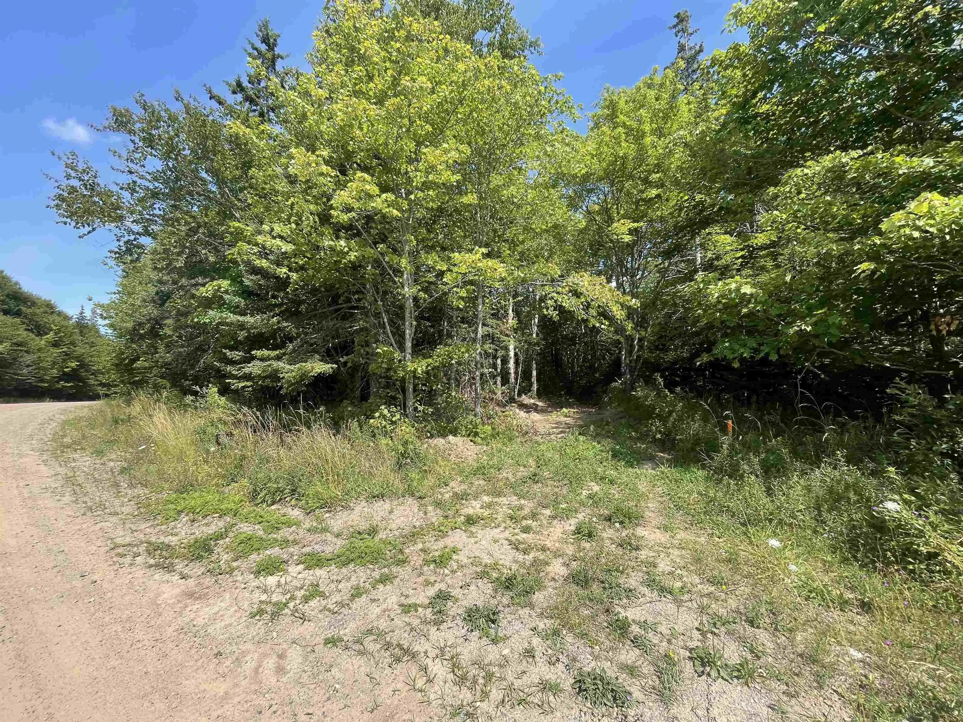 Lot 7 Calabash Road, Boularderie East, NS B1X 1K1, ,Land,For Sale,Calabash,202520076