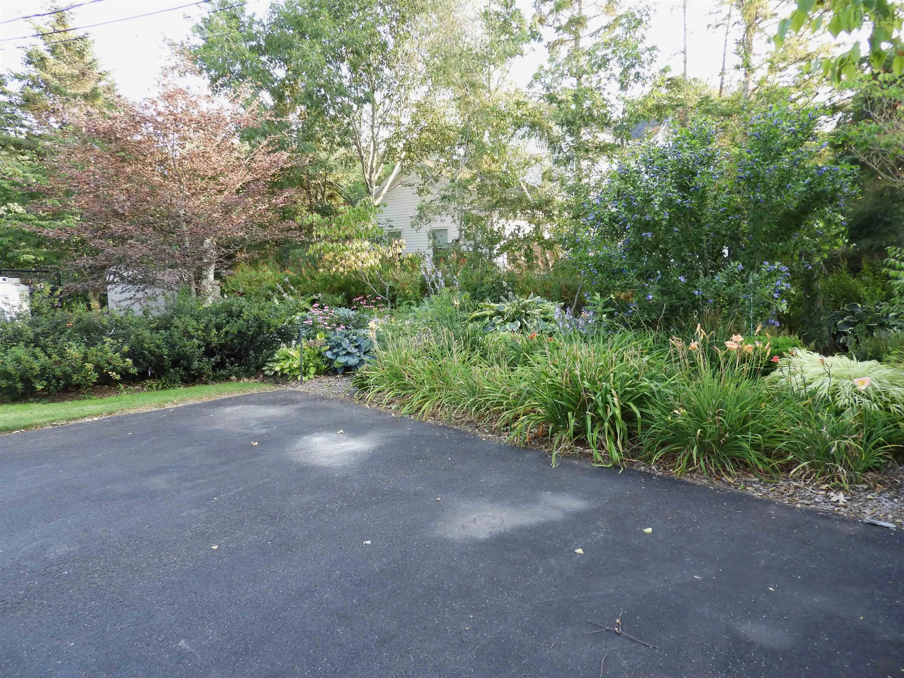 362 Prospect Avenue, Kentville, NS B4N 5R6, 3 Bedrooms Bedrooms, ,3 BathroomsBathrooms,Residential,For Sale,Prospect,202521519