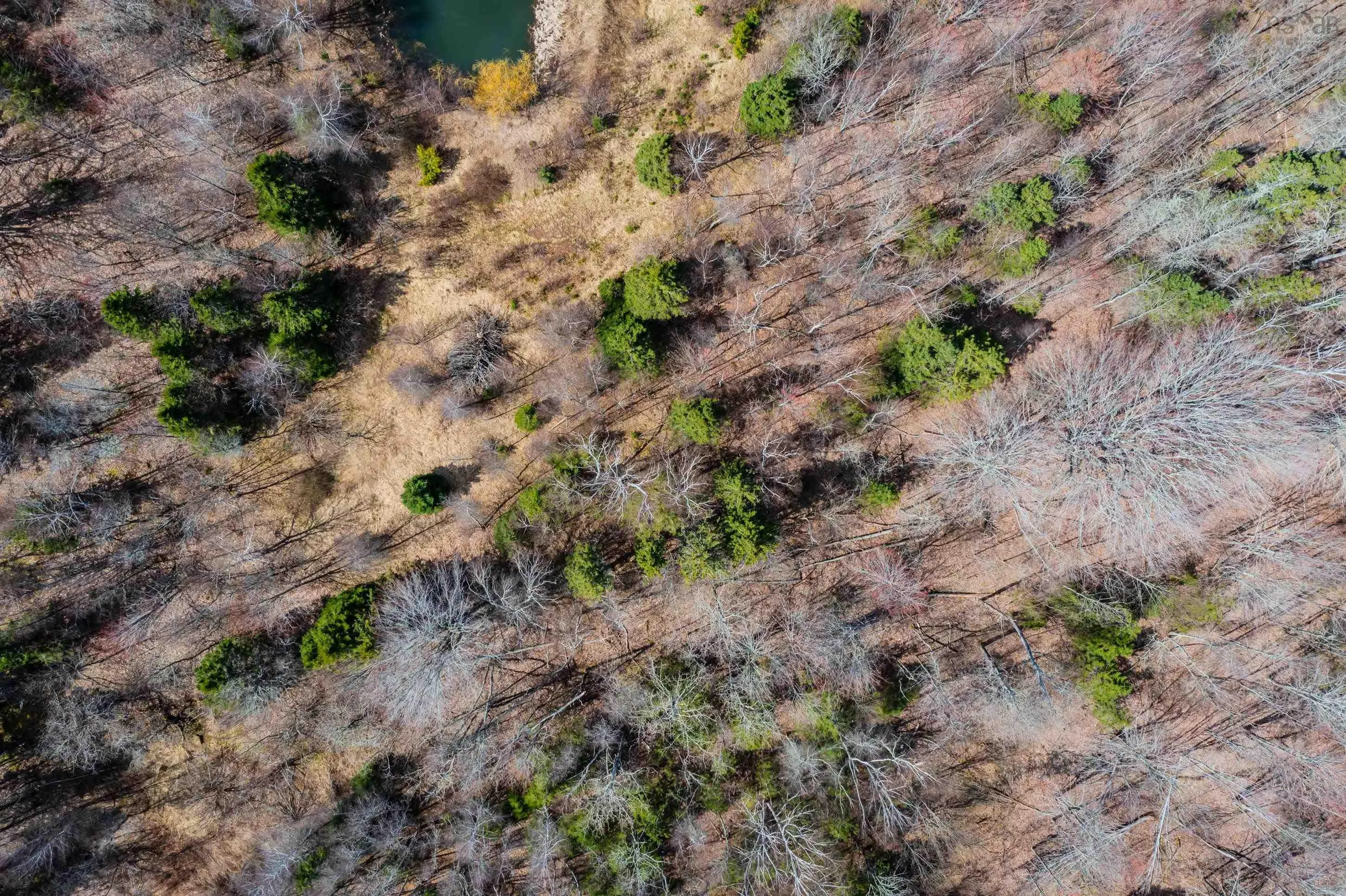 24.3 Lots Hansford Road, Victoria Ns B0m 1p0, ,Land,For Sale,Lots Hansford,202407691