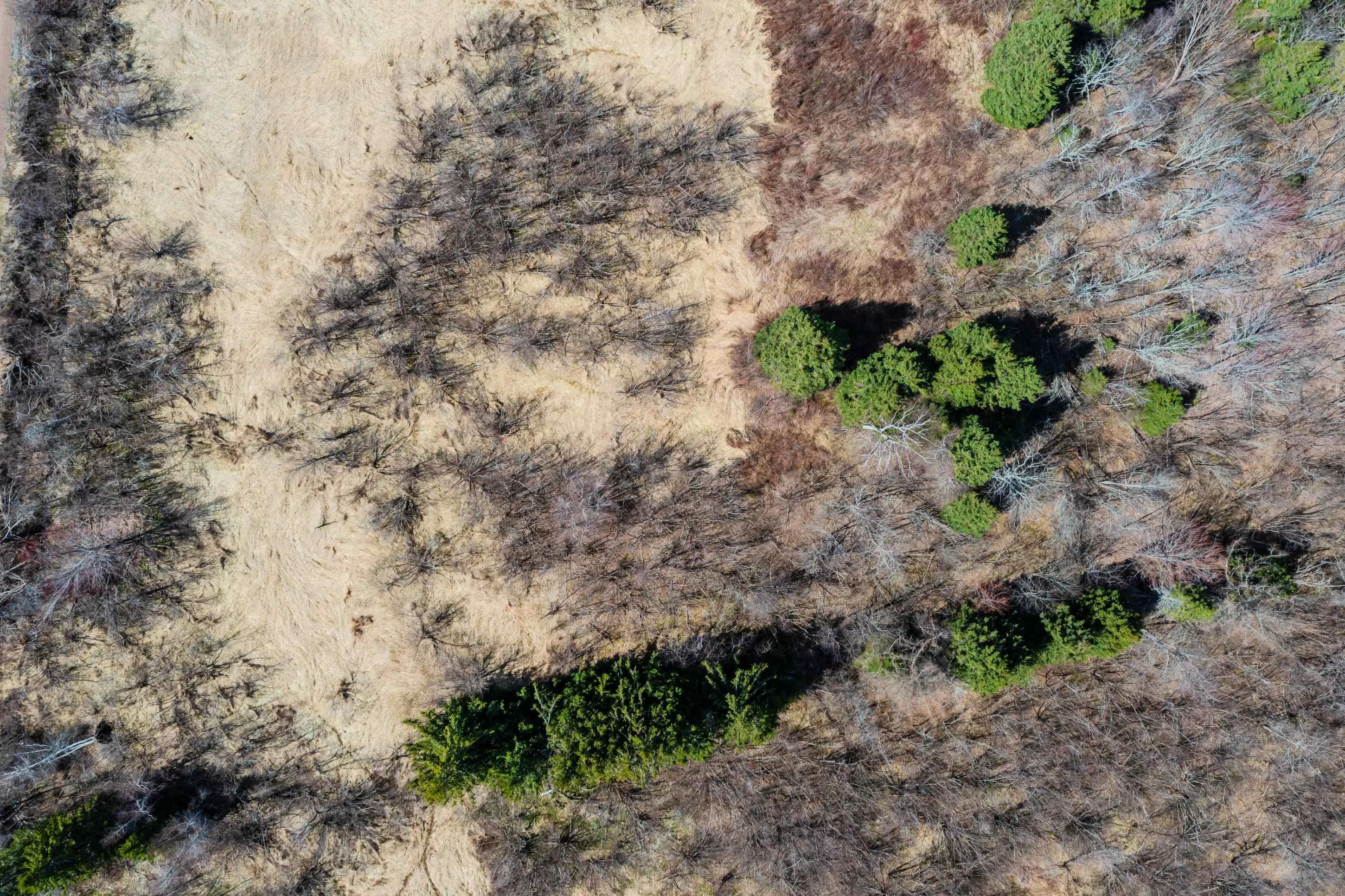 24.3 Lots Hansford Road, Victoria Ns B0m 1p0, ,Land,For Sale,Lots Hansford,202407691