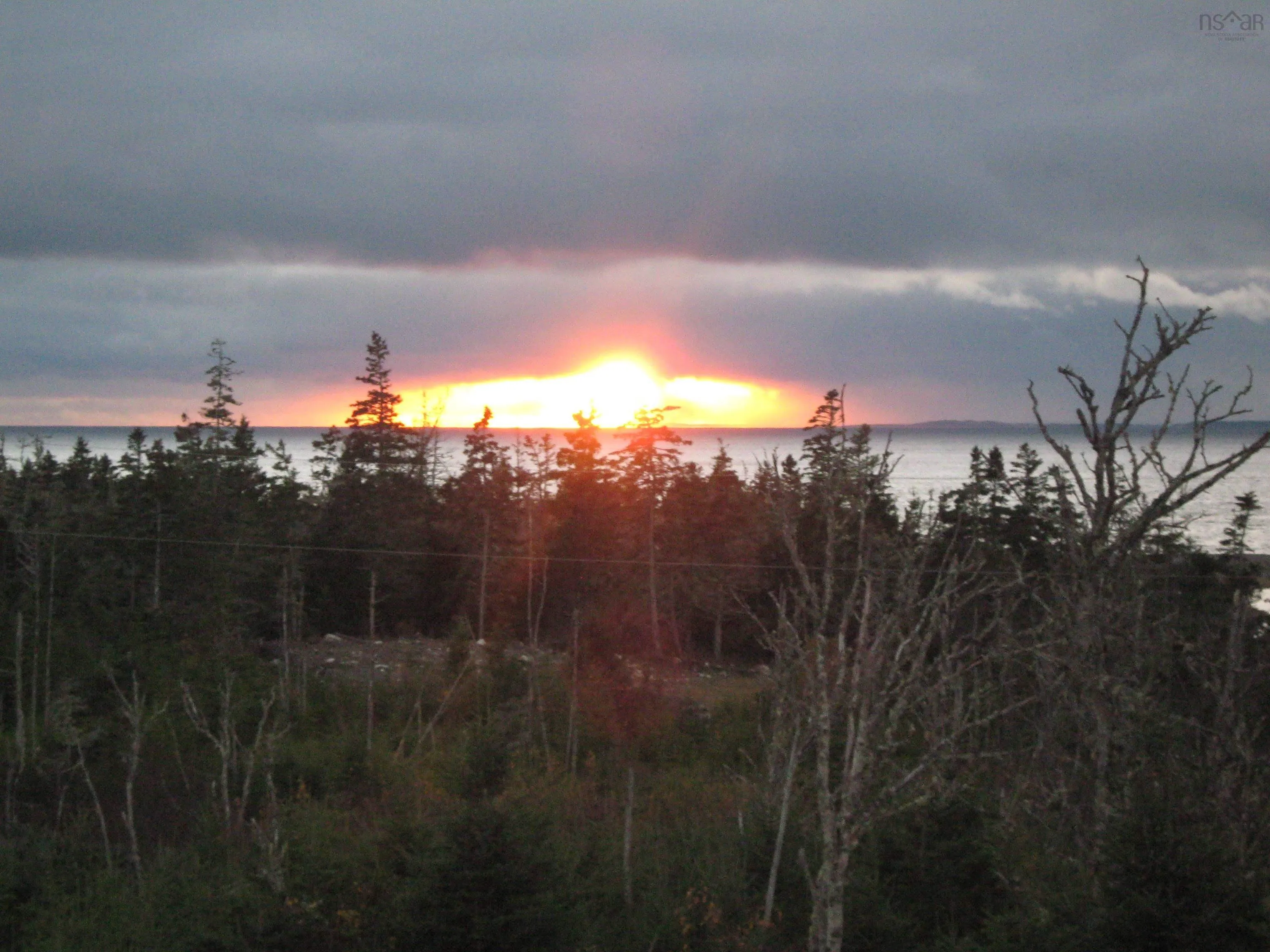 3139 Ostrea Lake Road, Pleasant Point, NS B0J 2L0, 1 Bedroom Bedrooms, ,1 BathroomBathrooms,Residential,For Sale,Ostrea Lake,202520784