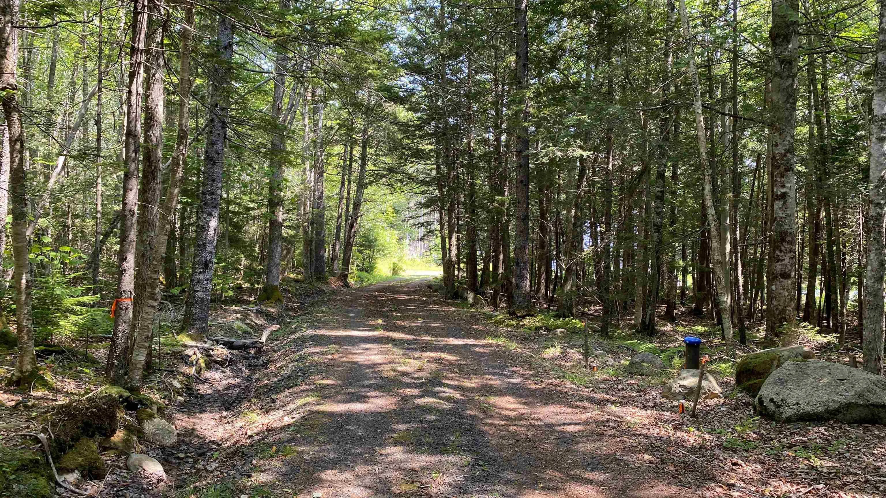 109 Troop Road, North Range, NS B0W 1H0, 2 Bedrooms Bedrooms, ,1 BathroomBathrooms,Residential,For Sale,Troop,202520148