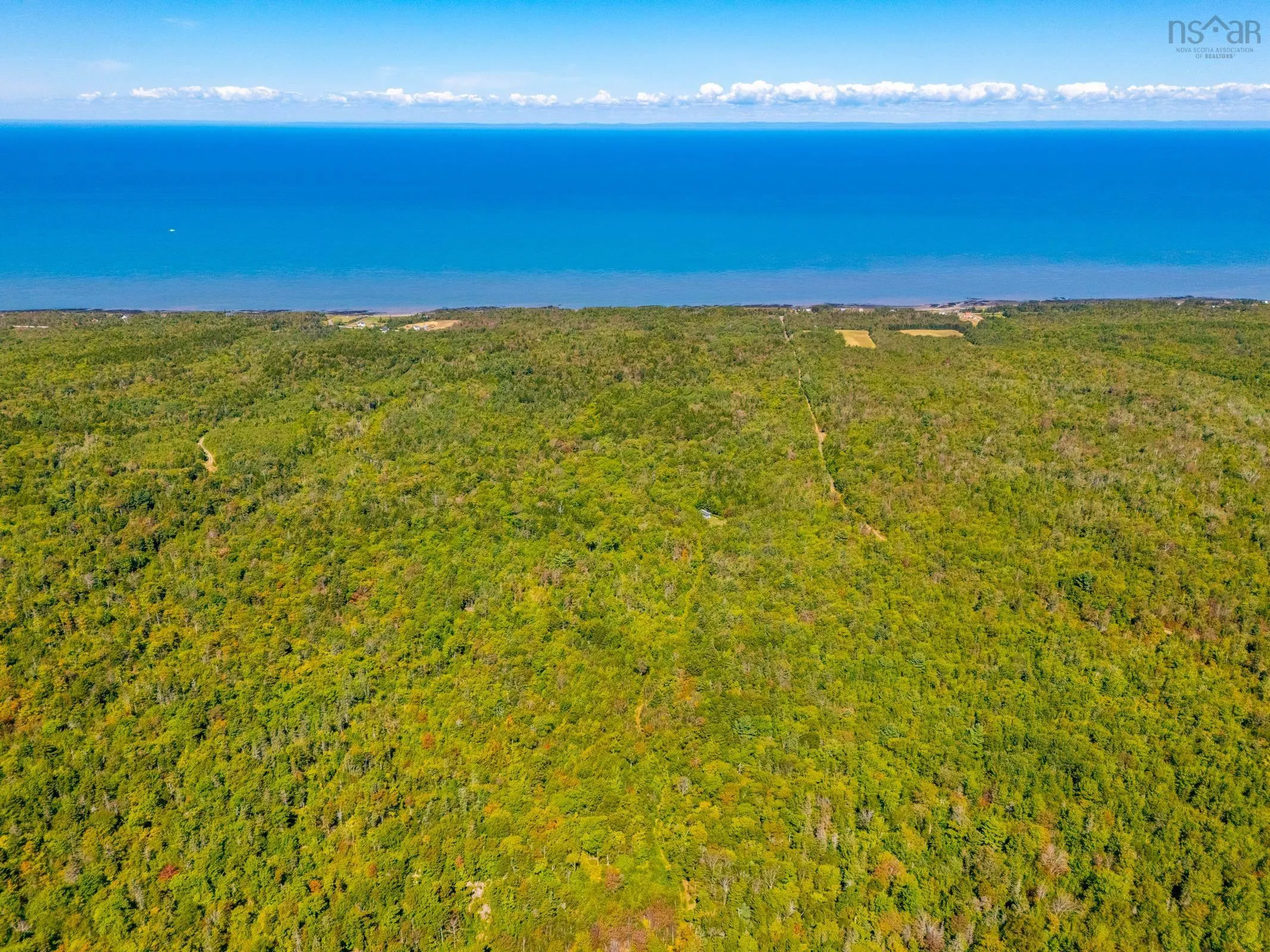 Longley Mountain Road, Youngs Cove, NS B0S 1L0, ,Land,For Sale,Longley Mountain,202518673
