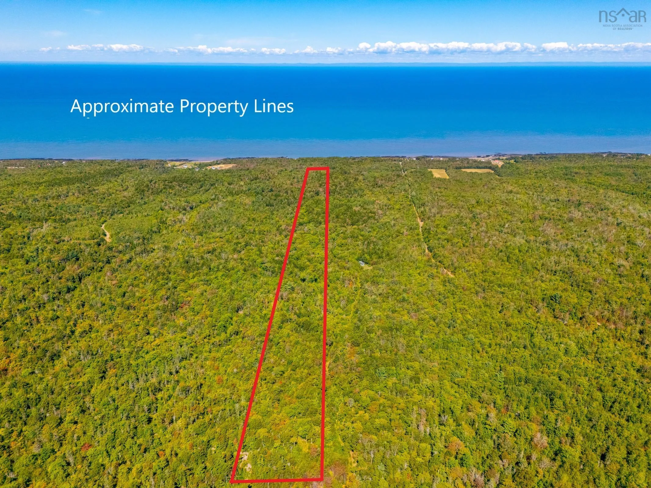 Longley Mountain Road, Youngs Cove, NS B0S 1L0, ,Land,For Sale,Longley Mountain,202518673