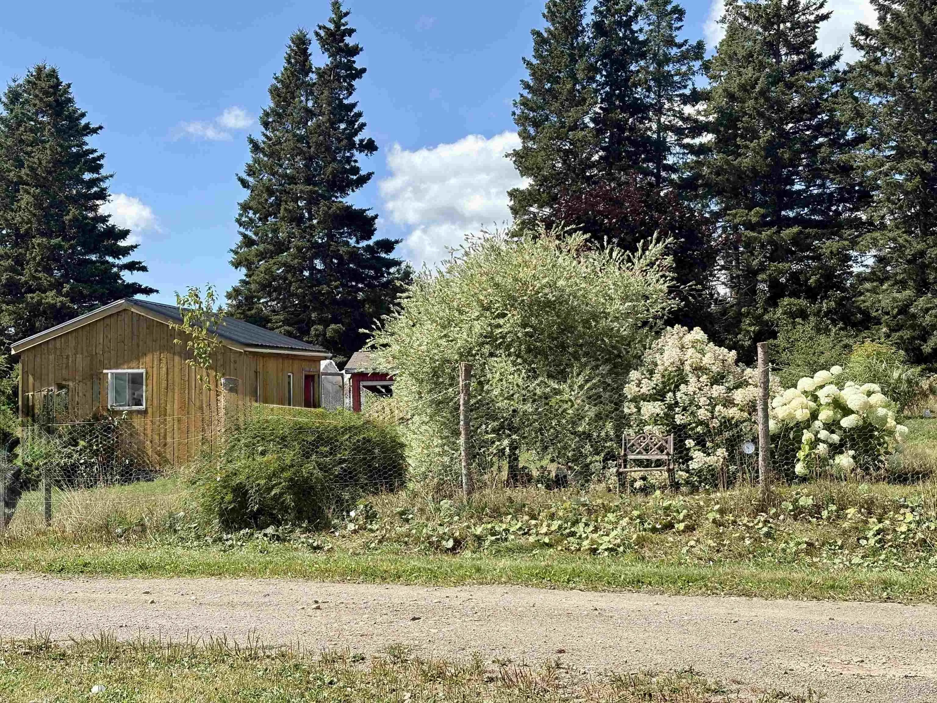 3512 Highway 252, Brook Village, NS B0E 1X0, 2 Bedrooms Bedrooms, ,1 BathroomBathrooms,Residential,For Sale,Highway 252,202515506