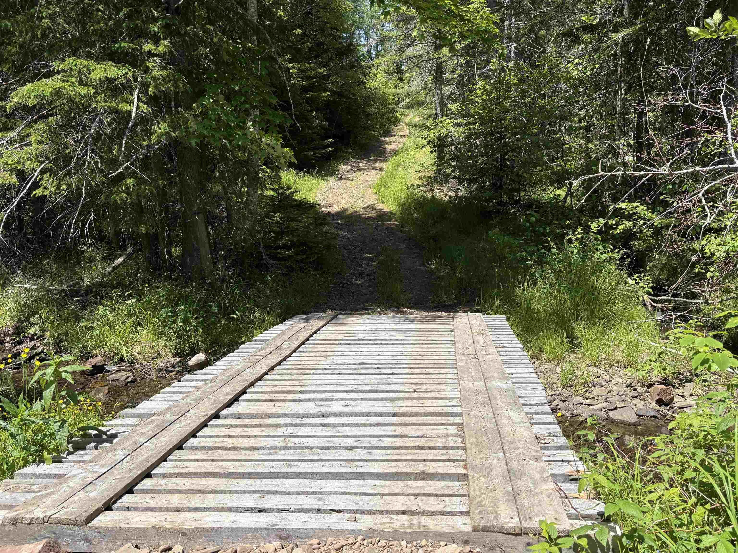 3512 Highway 252, Brook Village, NS B0E 1X0, 2 Bedrooms Bedrooms, ,1 BathroomBathrooms,Residential,For Sale,Highway 252,202515506