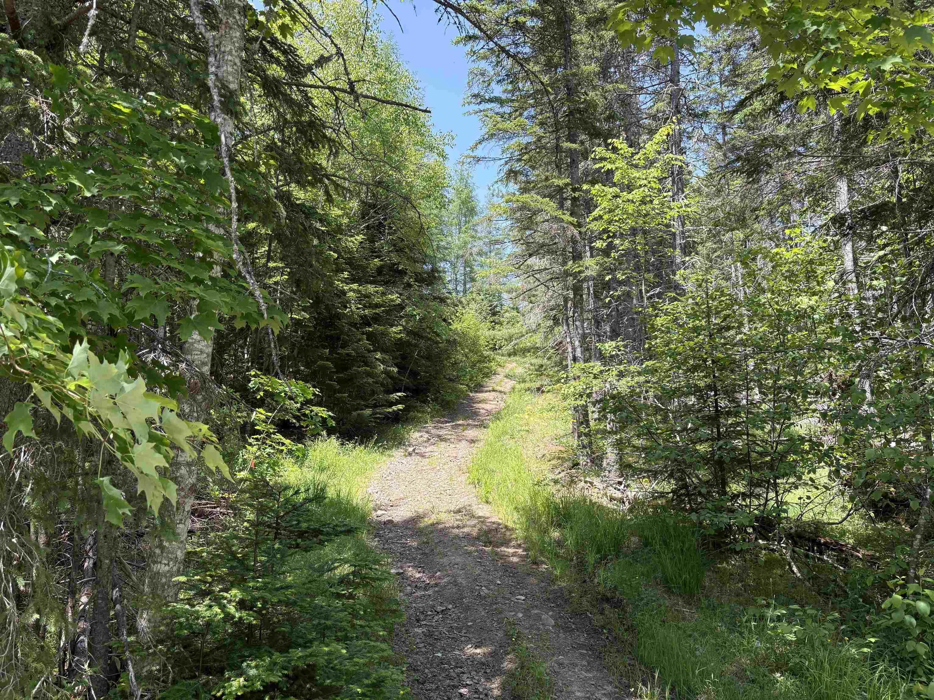 3512 Highway 252, Brook Village, NS B0E 1X0, 2 Bedrooms Bedrooms, ,1 BathroomBathrooms,Residential,For Sale,Highway 252,202515506