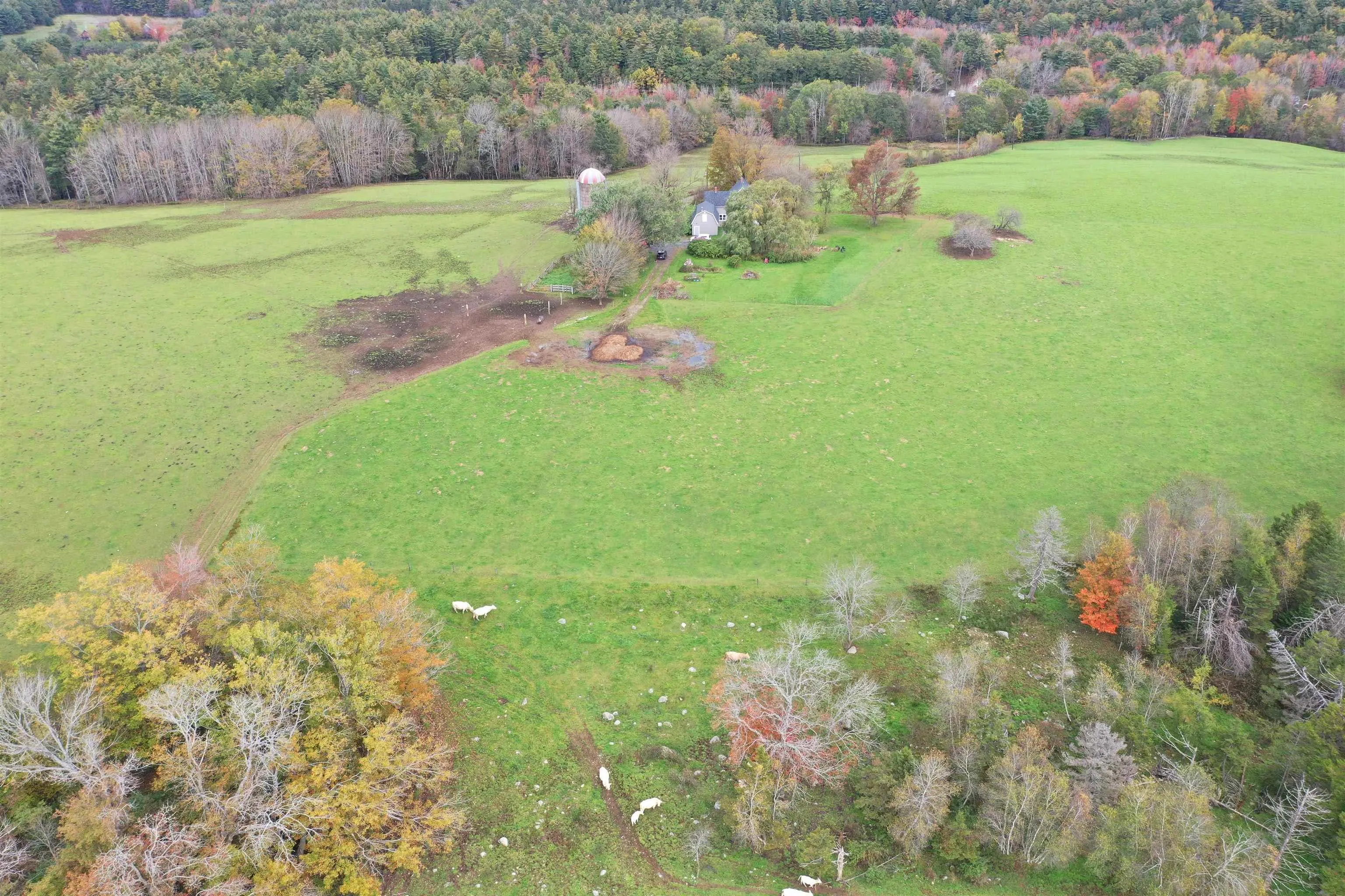 2249 Upper Branch Road, Midville Branch Ns B2r 1s2, 4 Bedrooms Bedrooms, ,1 BathroomBathrooms,Residential,For Sale,Upper Branch,202501452