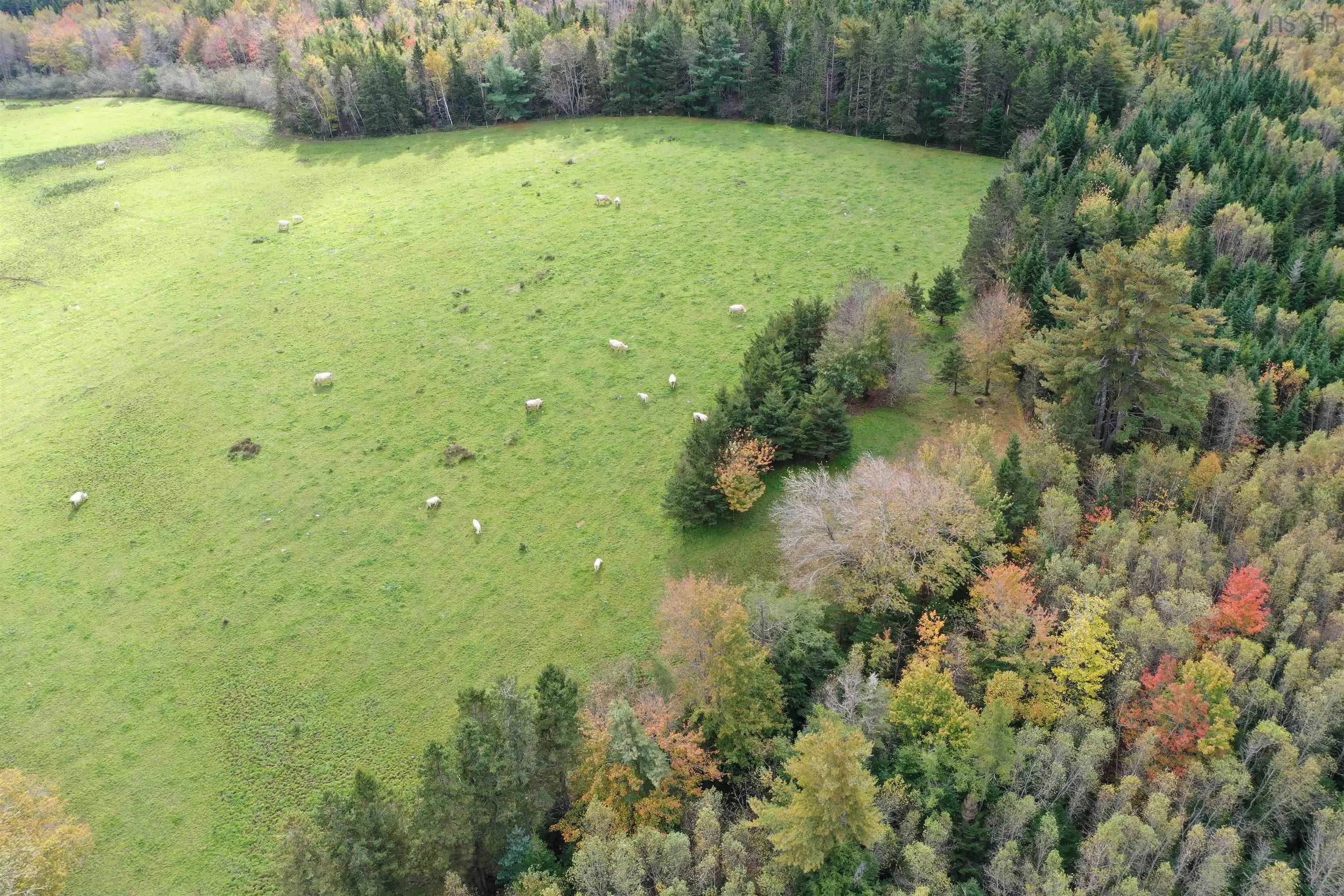2249 Upper Branch Road, Midville Branch Ns B2r 1s2, 4 Bedrooms Bedrooms, ,1 BathroomBathrooms,Residential,For Sale,Upper Branch,202501452