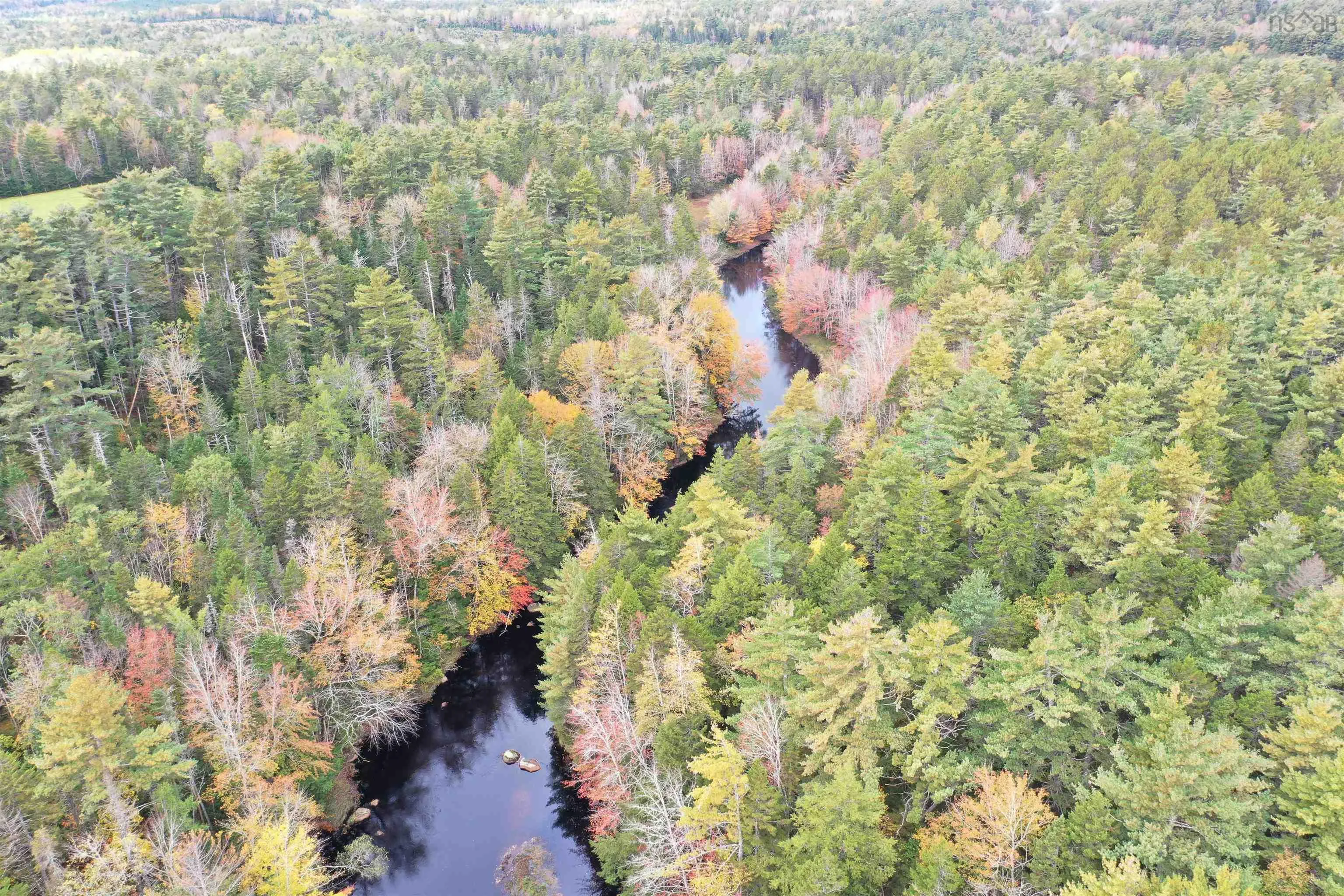 2249 Upper Branch Road, Midville Branch Ns B2r 1s2, 4 Bedrooms Bedrooms, ,1 BathroomBathrooms,Residential,For Sale,Upper Branch,202501452