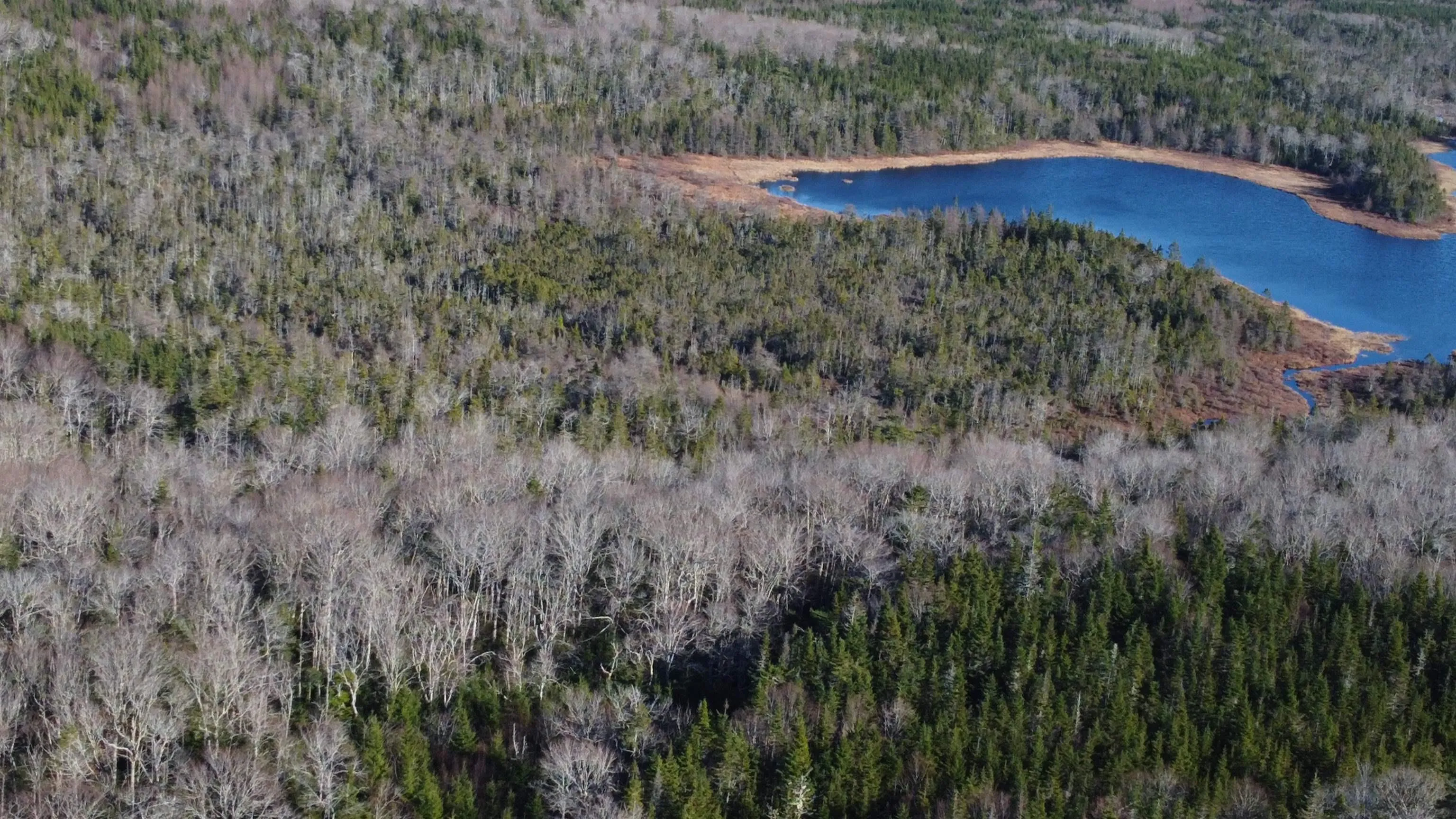 No. 4 Highway, Salmon River, NS B0E 3B0, ,Land,For Sale,Salmon River,202521603
