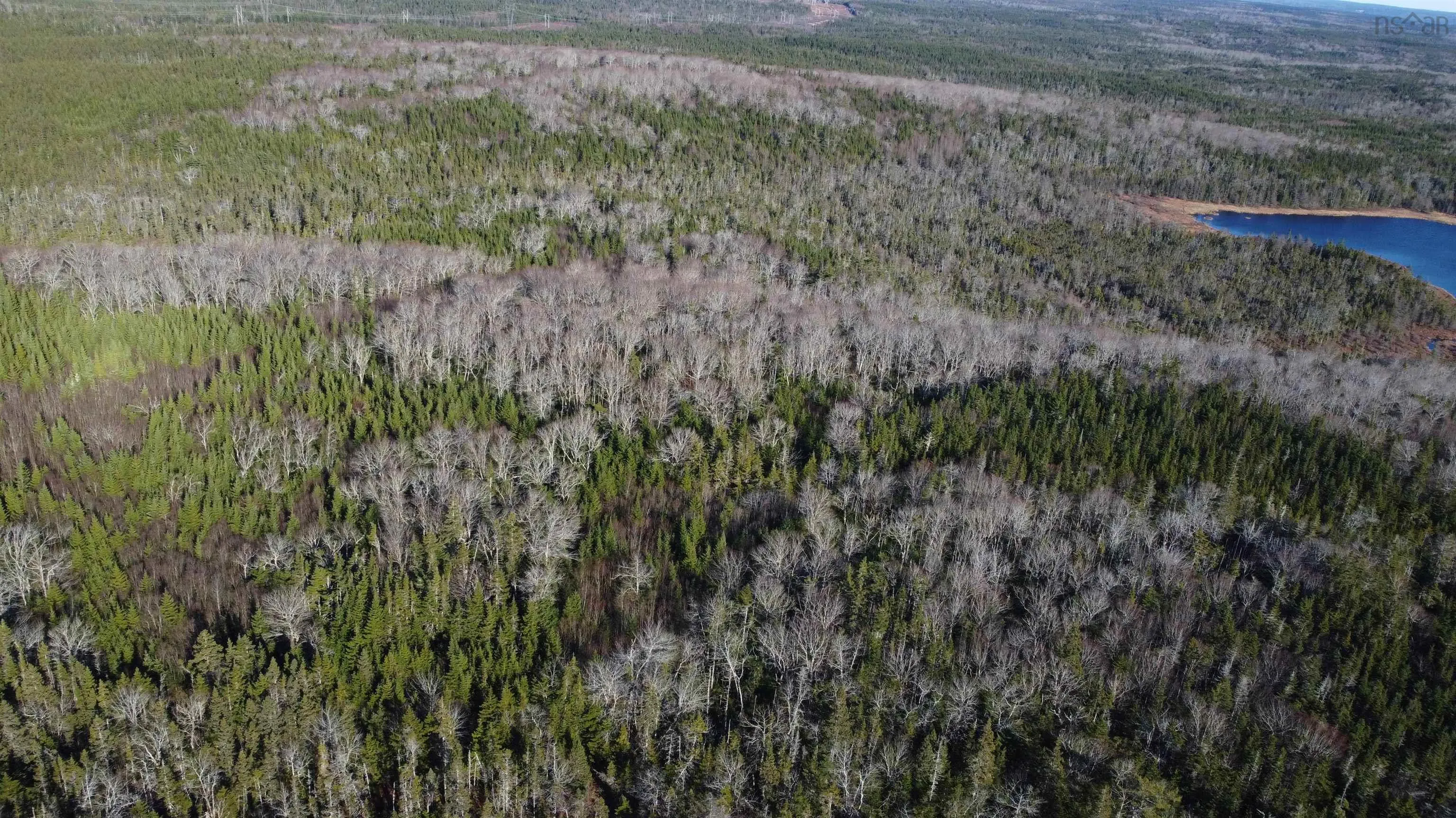 No. 4 Highway, Salmon River, NS B0E 3B0, ,Land,For Sale,Salmon River,202521603