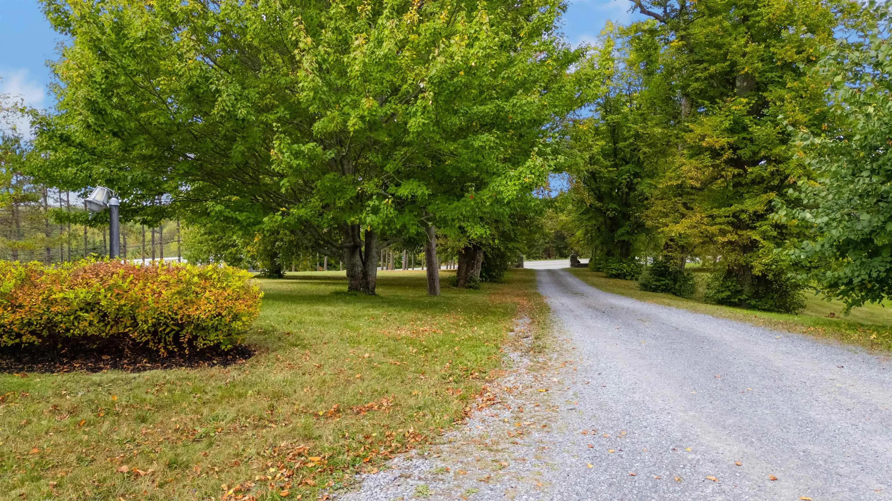 3223 Highway 376, Pictou Ns B0k 1h0, 4 Bedrooms Bedrooms, ,7 BathroomsBathrooms,Residential,For Sale,Highway 376,202505551