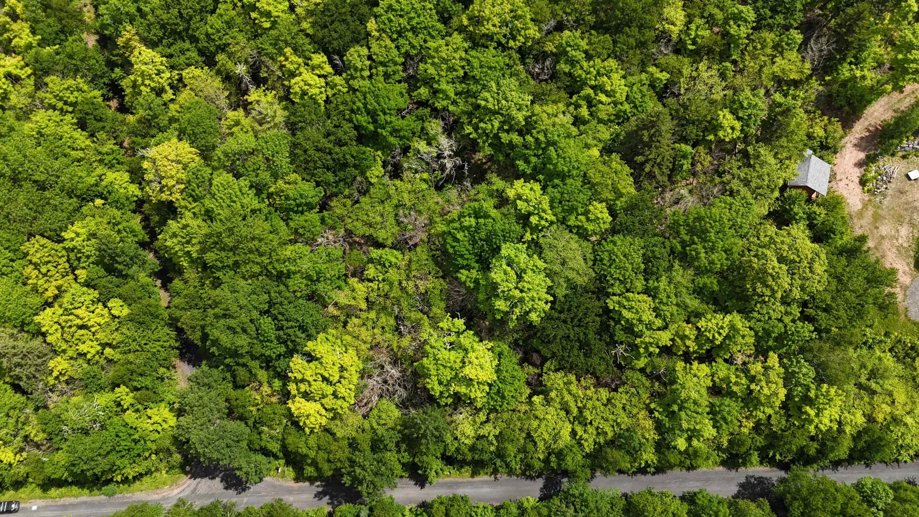 26 Hemlock Drive, Forties, NS B0J 2M0, ,Land,For Sale,Hemlock,202511172
