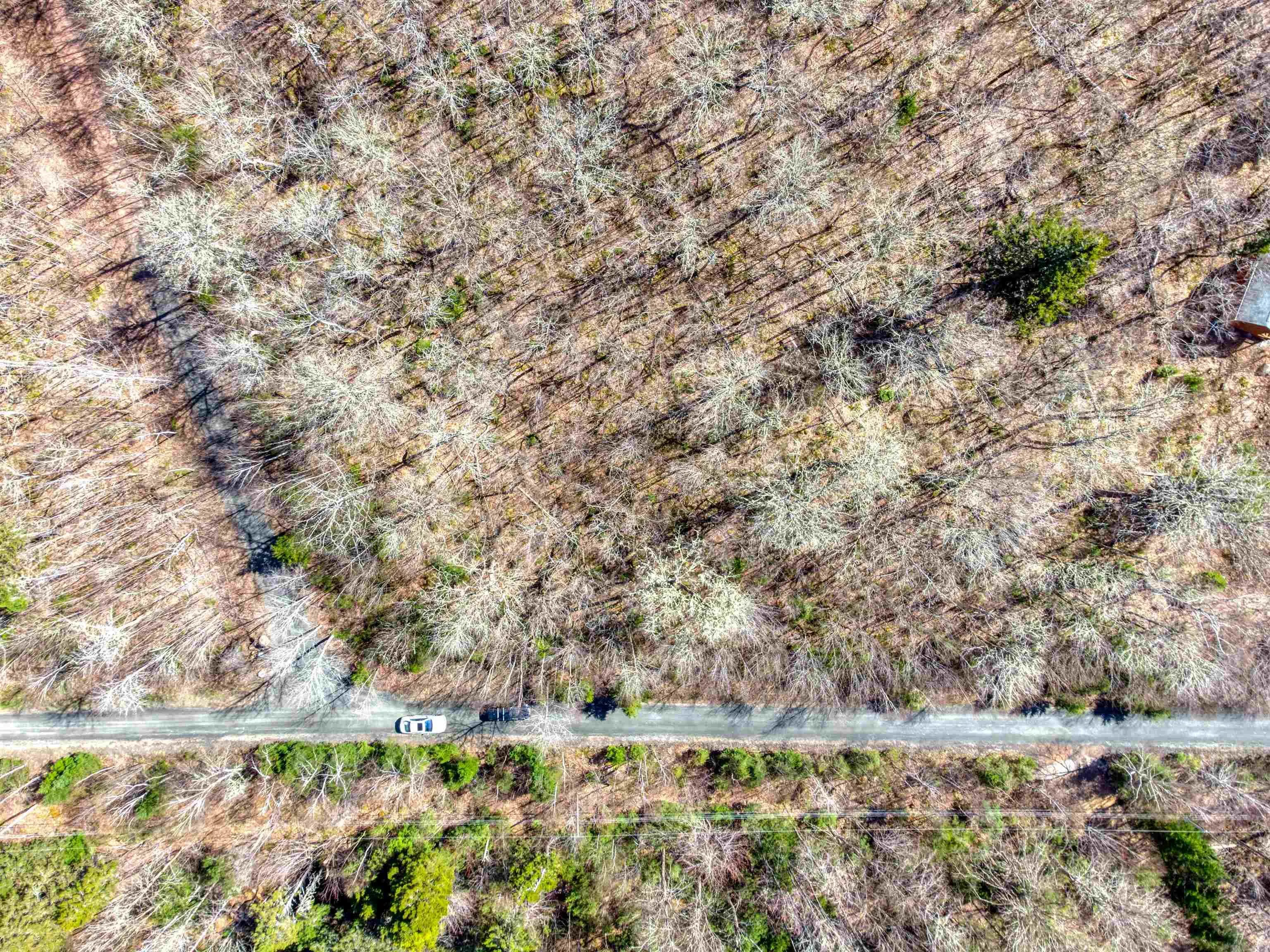26 Hemlock Drive, Forties, NS B0J 2M0, ,Land,For Sale,Hemlock,202511172