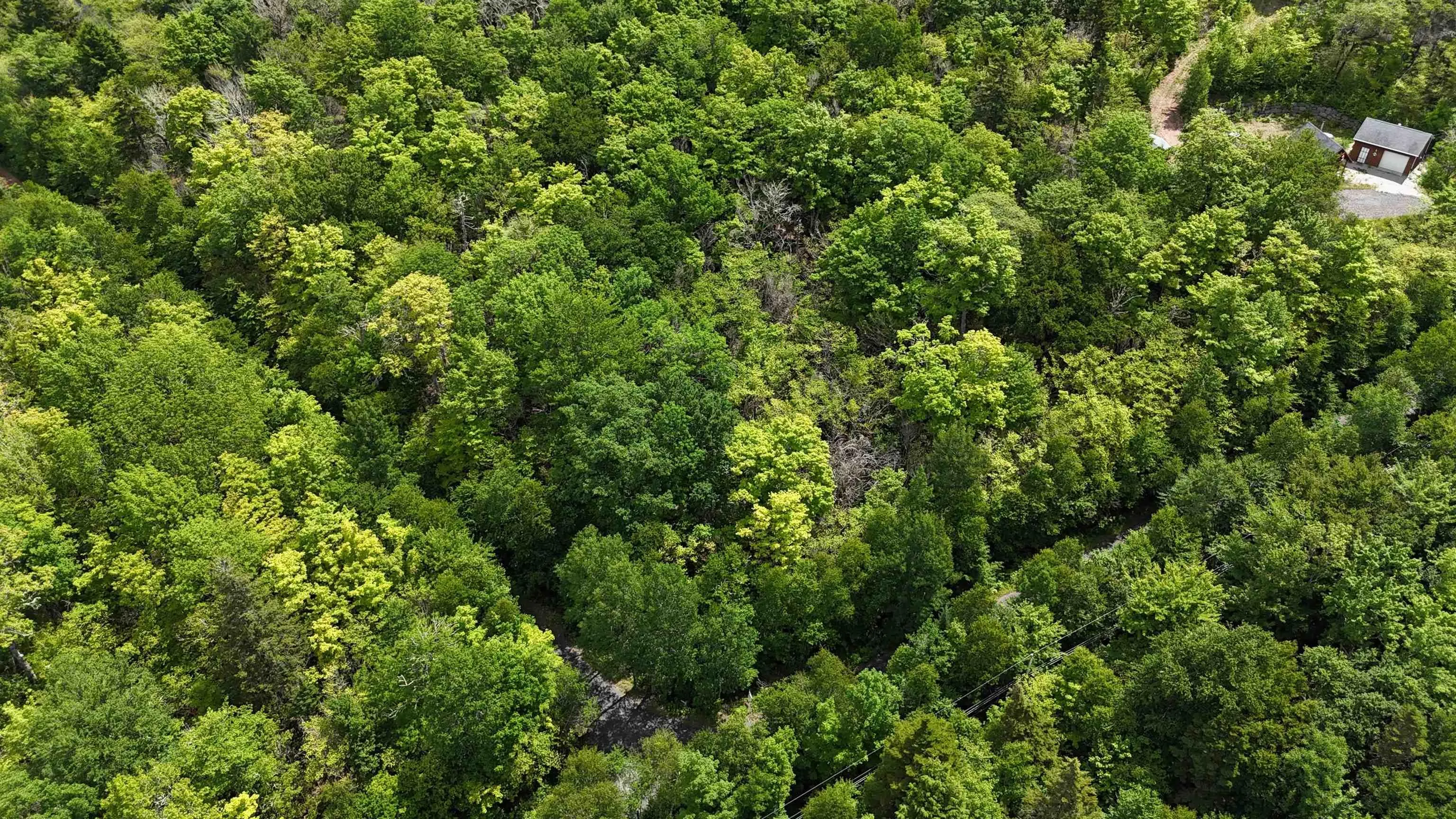 26 Hemlock Drive, Forties, NS B0J 2M0, ,Land,For Sale,Hemlock,202511172