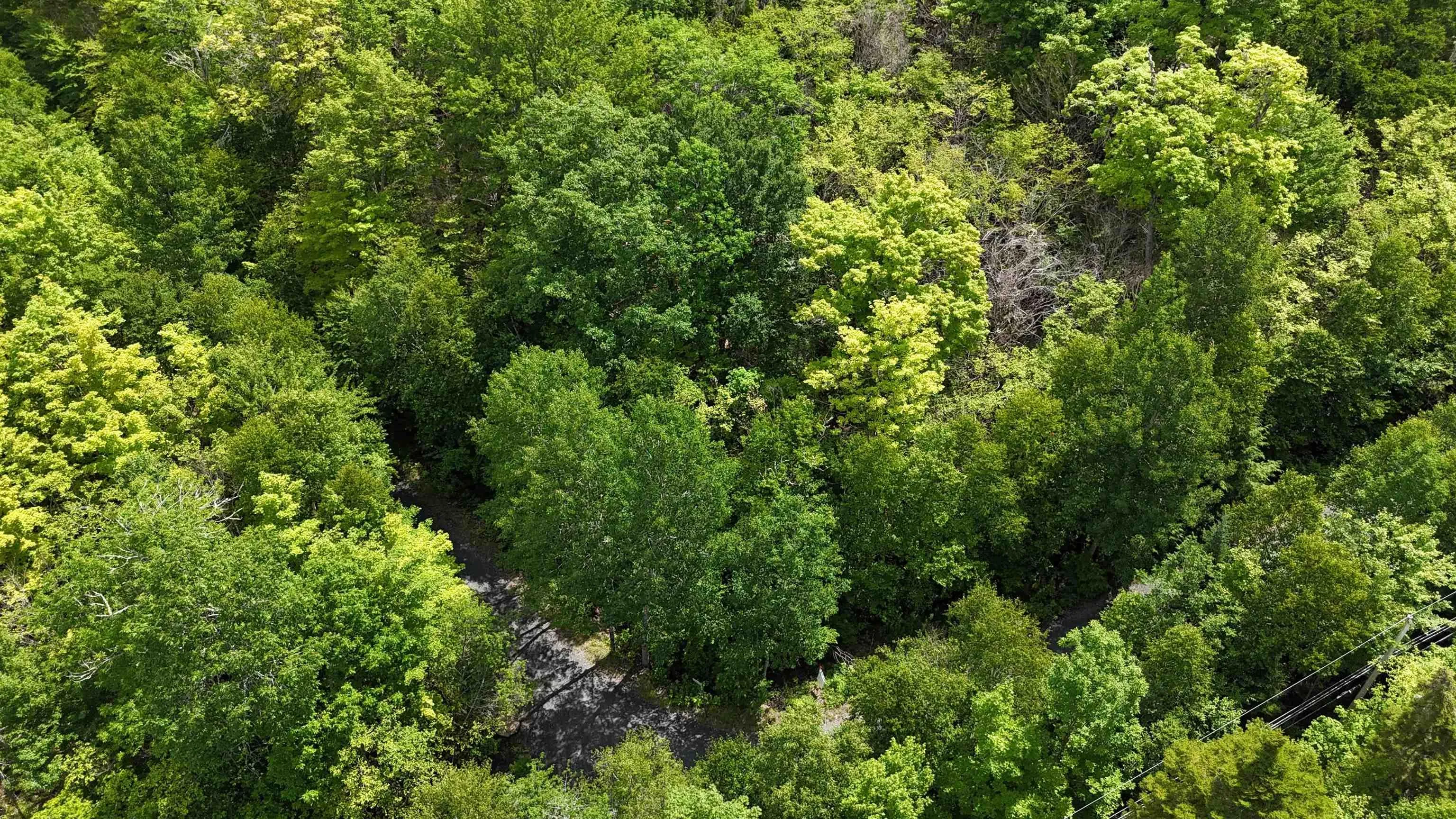 26 Hemlock Drive, Forties, NS B0J 2M0, ,Land,For Sale,Hemlock,202511172