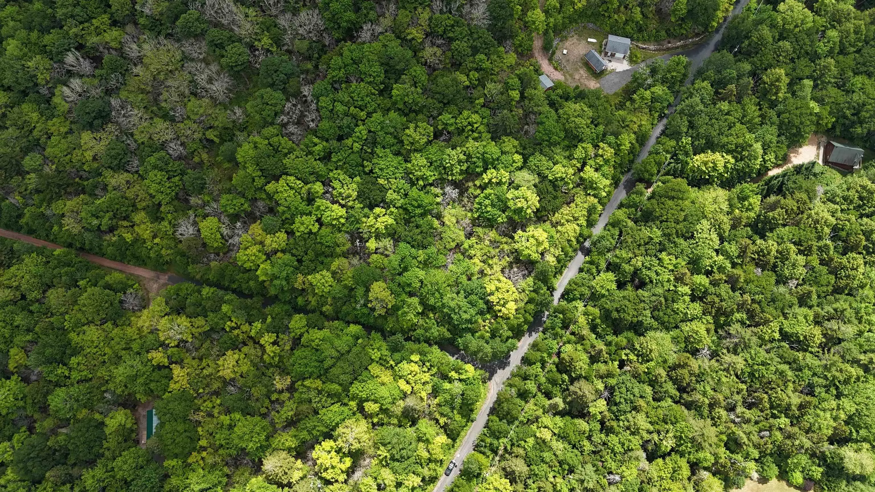 26 Hemlock Drive, Forties, NS B0J 2M0, ,Land,For Sale,Hemlock,202511172