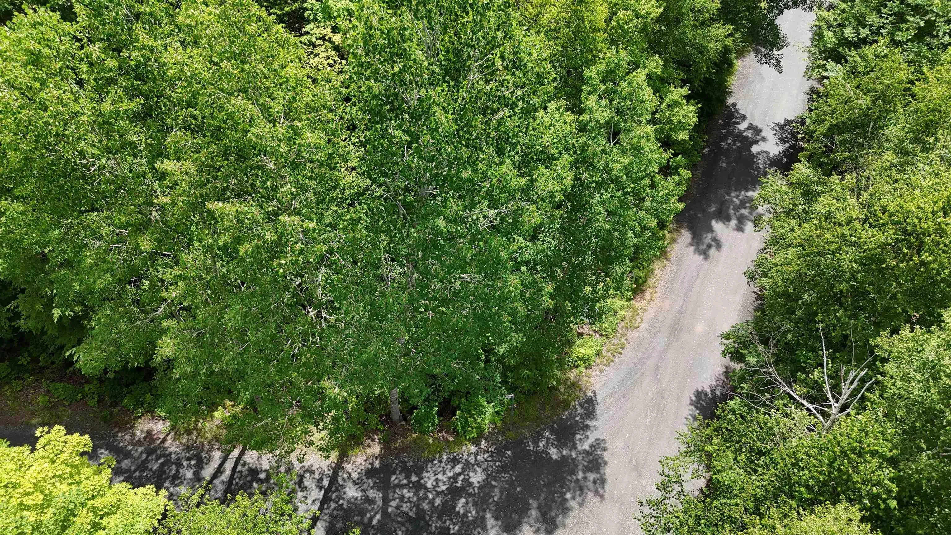 26 Hemlock Drive, Forties, NS B0J 2M0, ,Land,For Sale,Hemlock,202511172