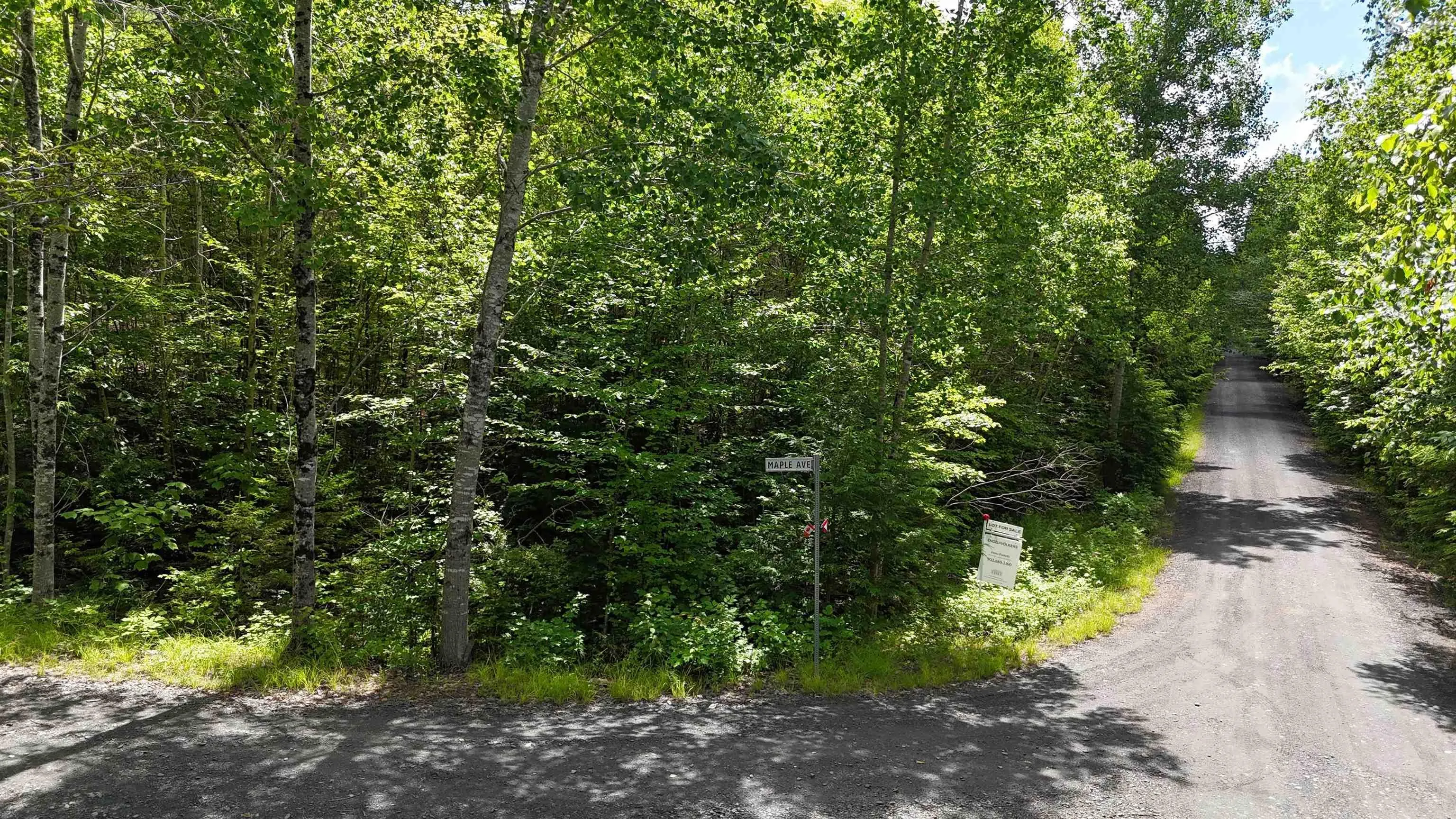 26 Hemlock Drive, Forties, NS B0J 2M0, ,Land,For Sale,Hemlock,202511172