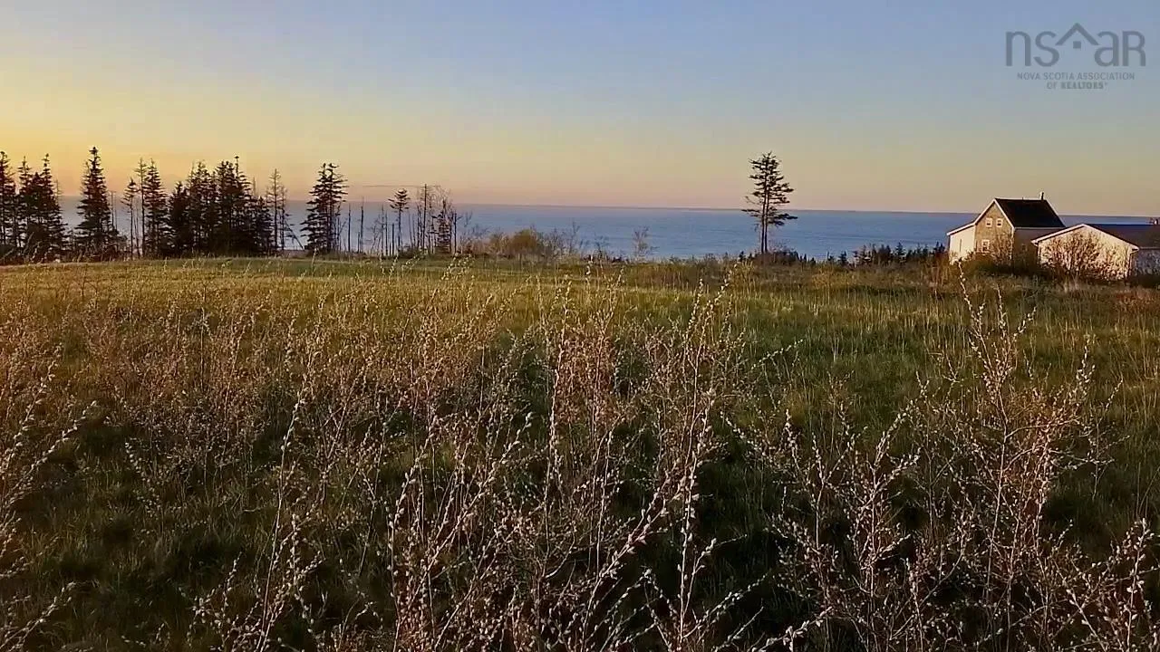 Broad Cove Banks Road Lot 1, Inverness, NS B0E 1N0, ,Land,For Sale,Broad Cove Banks,202512924