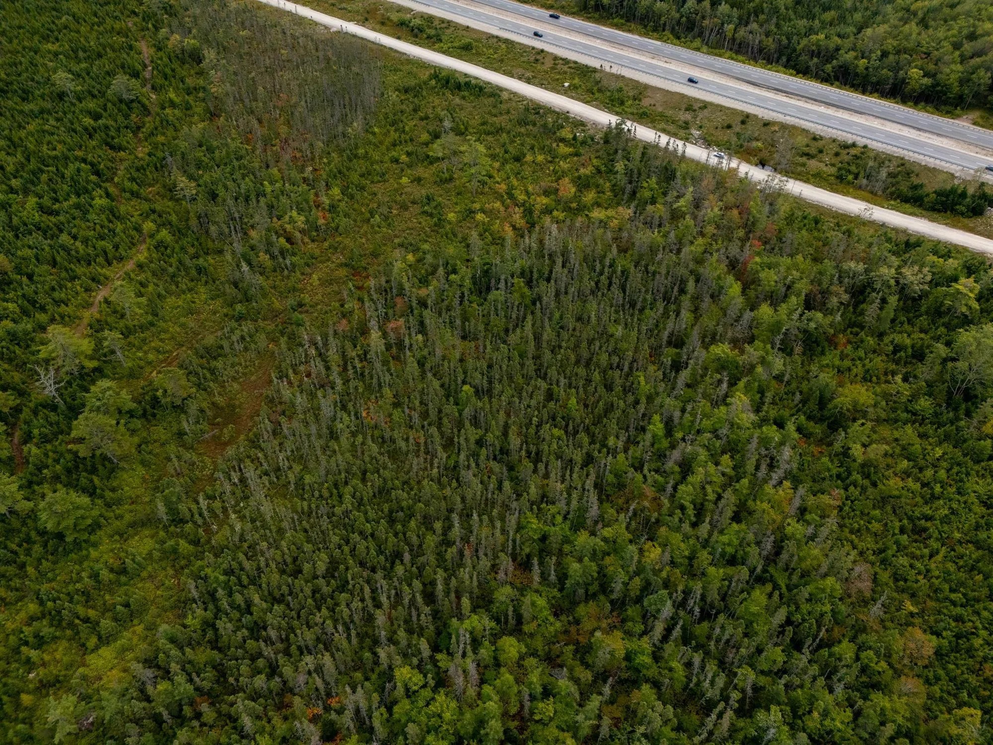 Lot No 103 Highway, Queensland, NS B0J 1T0, ,Land,For Sale,No 103 Highway,202523225