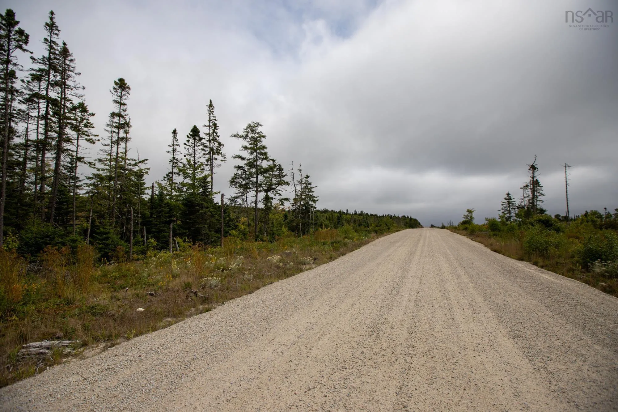Lot No 103 Highway, Queensland, NS B0J 1T0, ,Land,For Sale,No 103 Highway,202523225