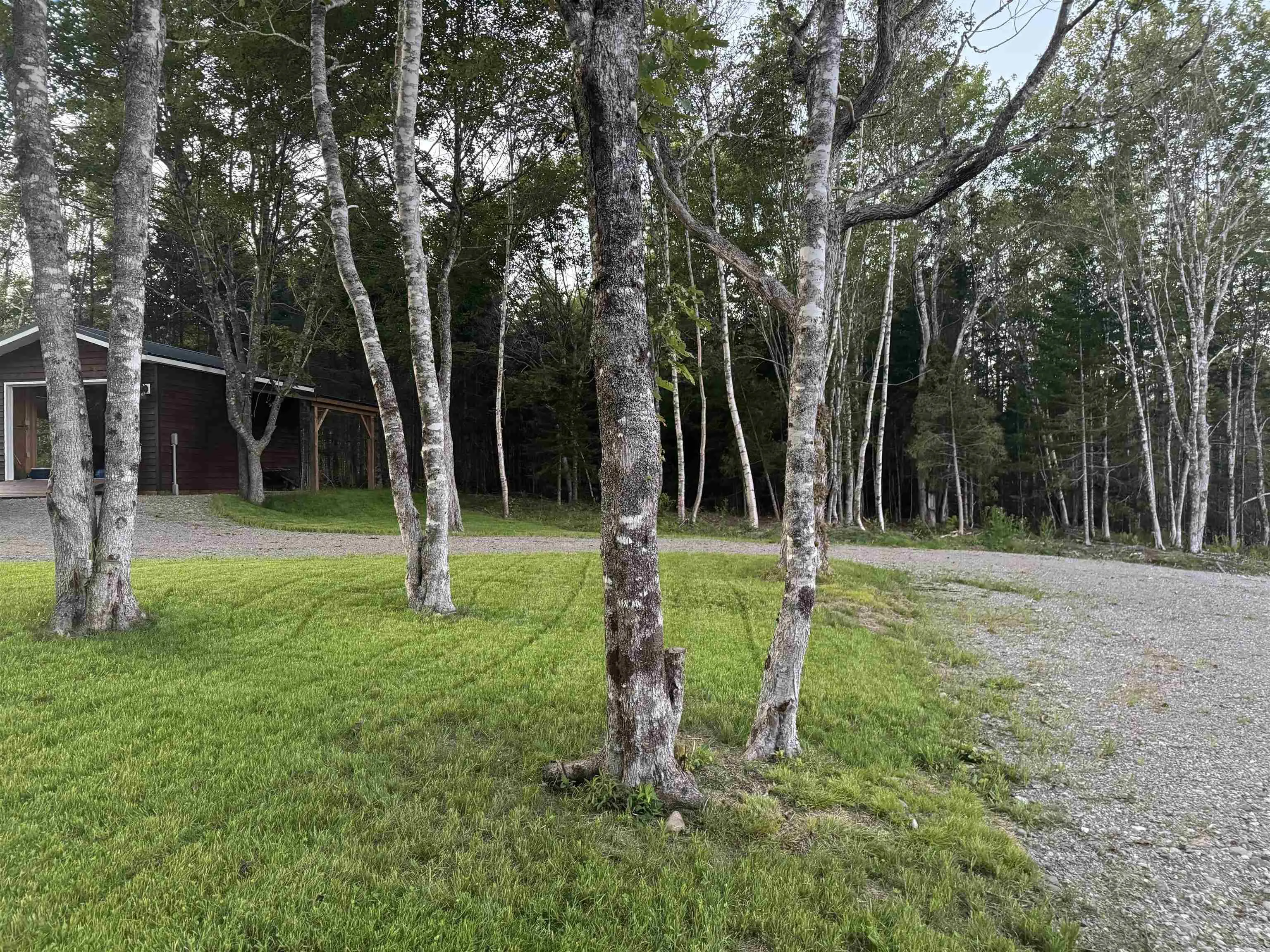 18144 Highway 316 Highway, Cross Roads Country Harbour, NS B0H 1J0, ,Land,For Sale,Highway 316,202519231