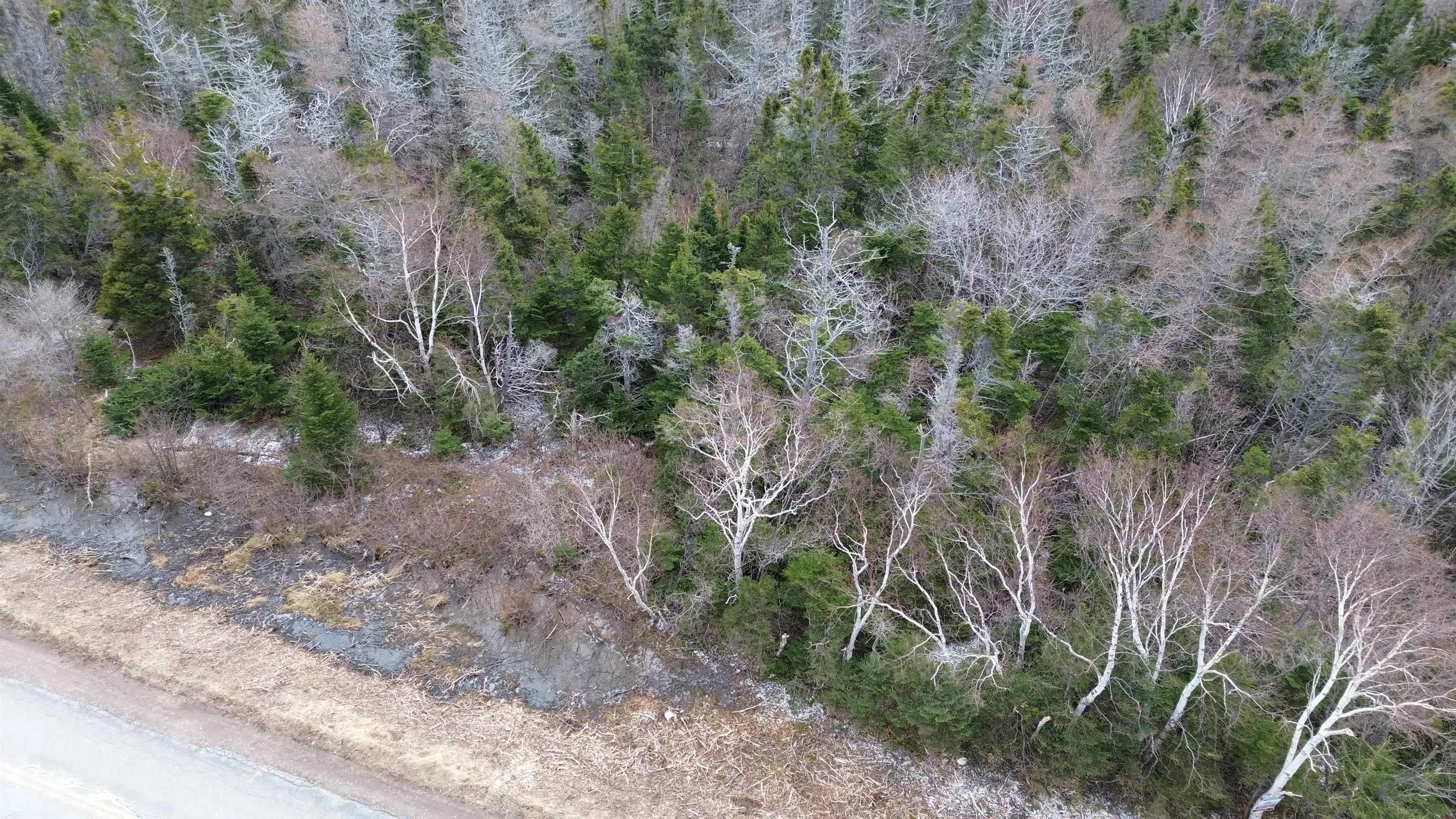 Plateau Road, Chéticamp Ns B0e 1h0, ,Land,For Sale,Plateau,202405435